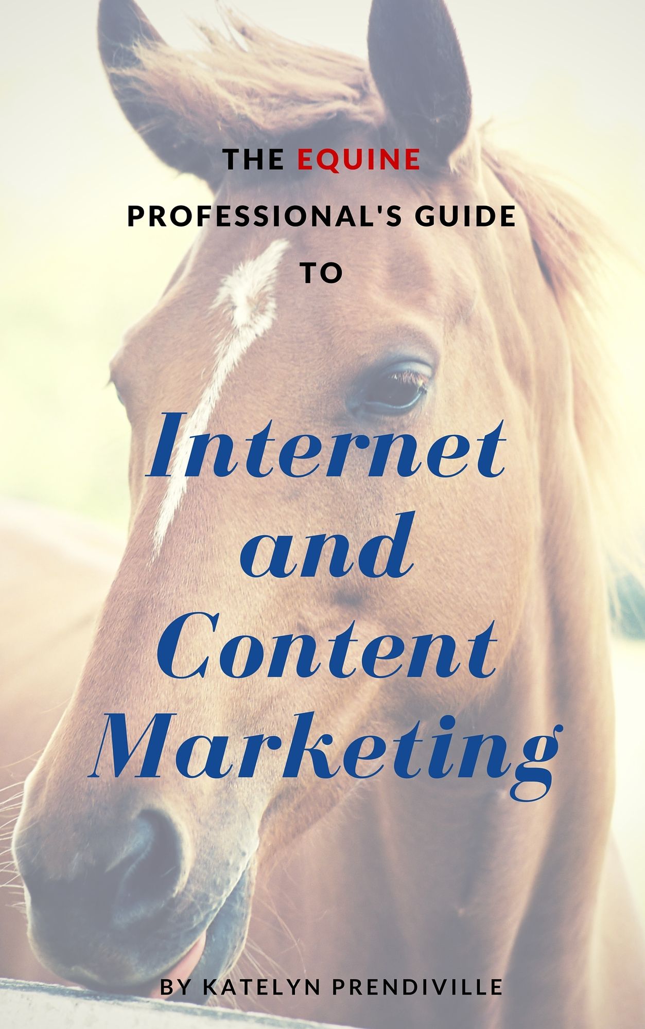 The Equine Professional's Guide to Internet and Content Marketing