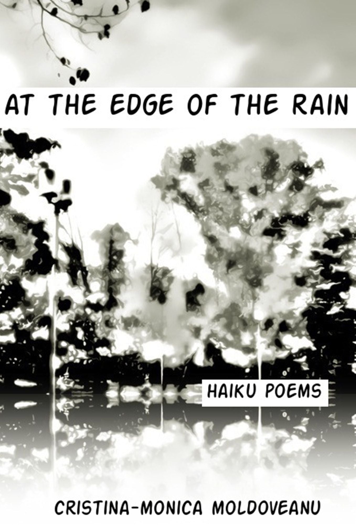 At the Edge of the Rain