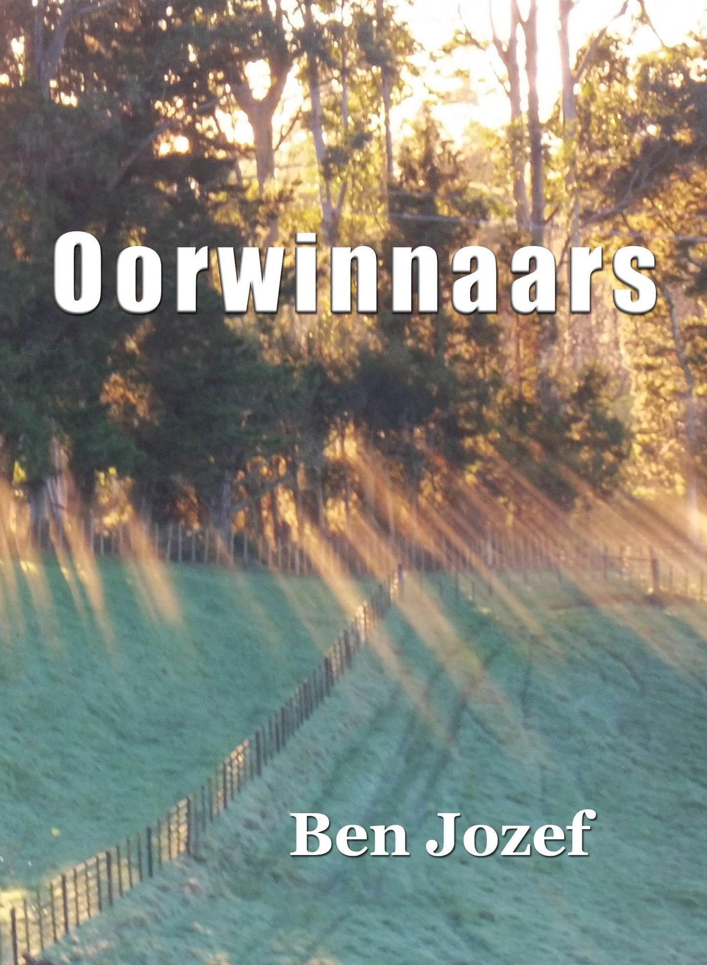 Oorwinnaars
