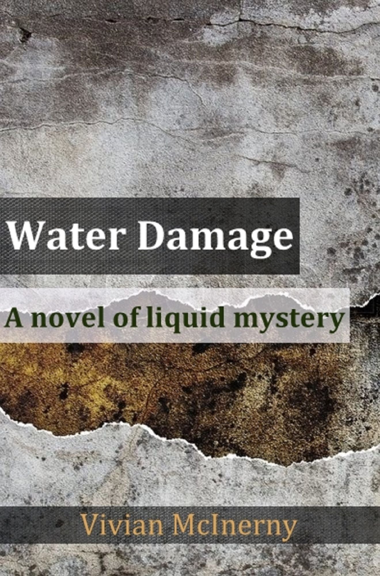 Water Damage: A Novel of Liquid Mystery