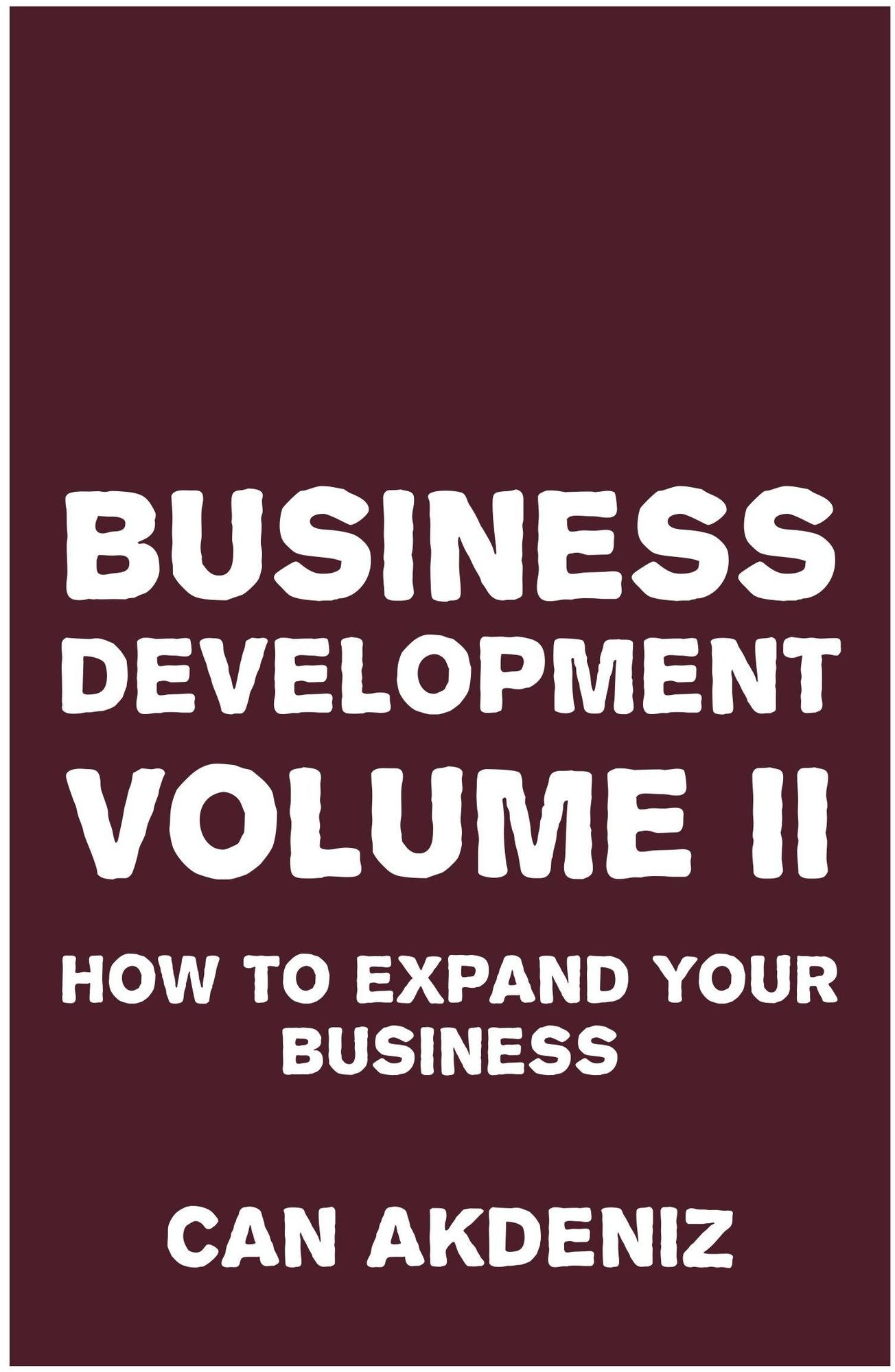 Business Development Volume II: How to Expand Your Business