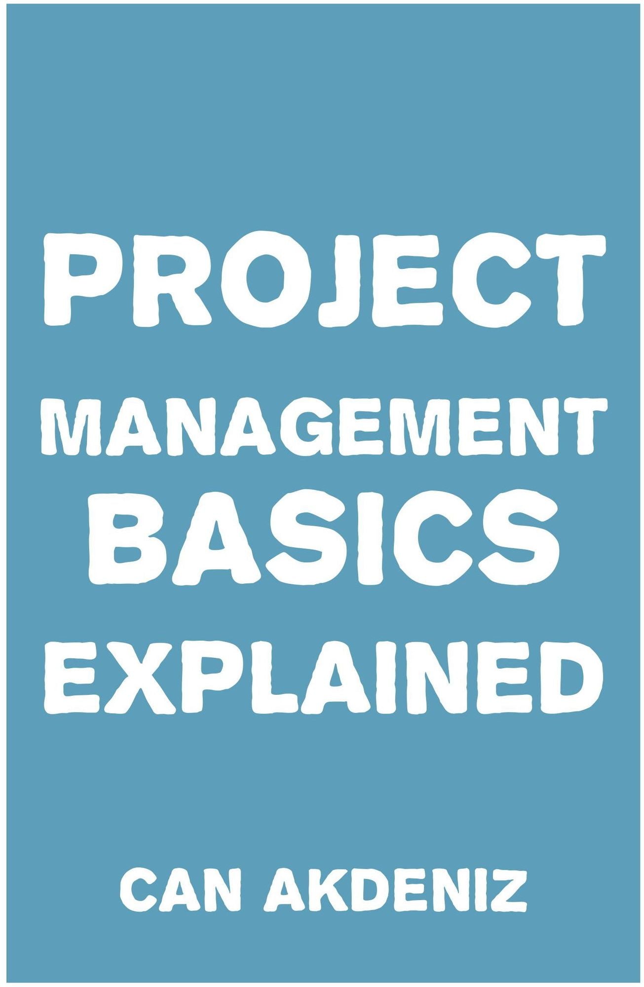 Project Management Basics Explained