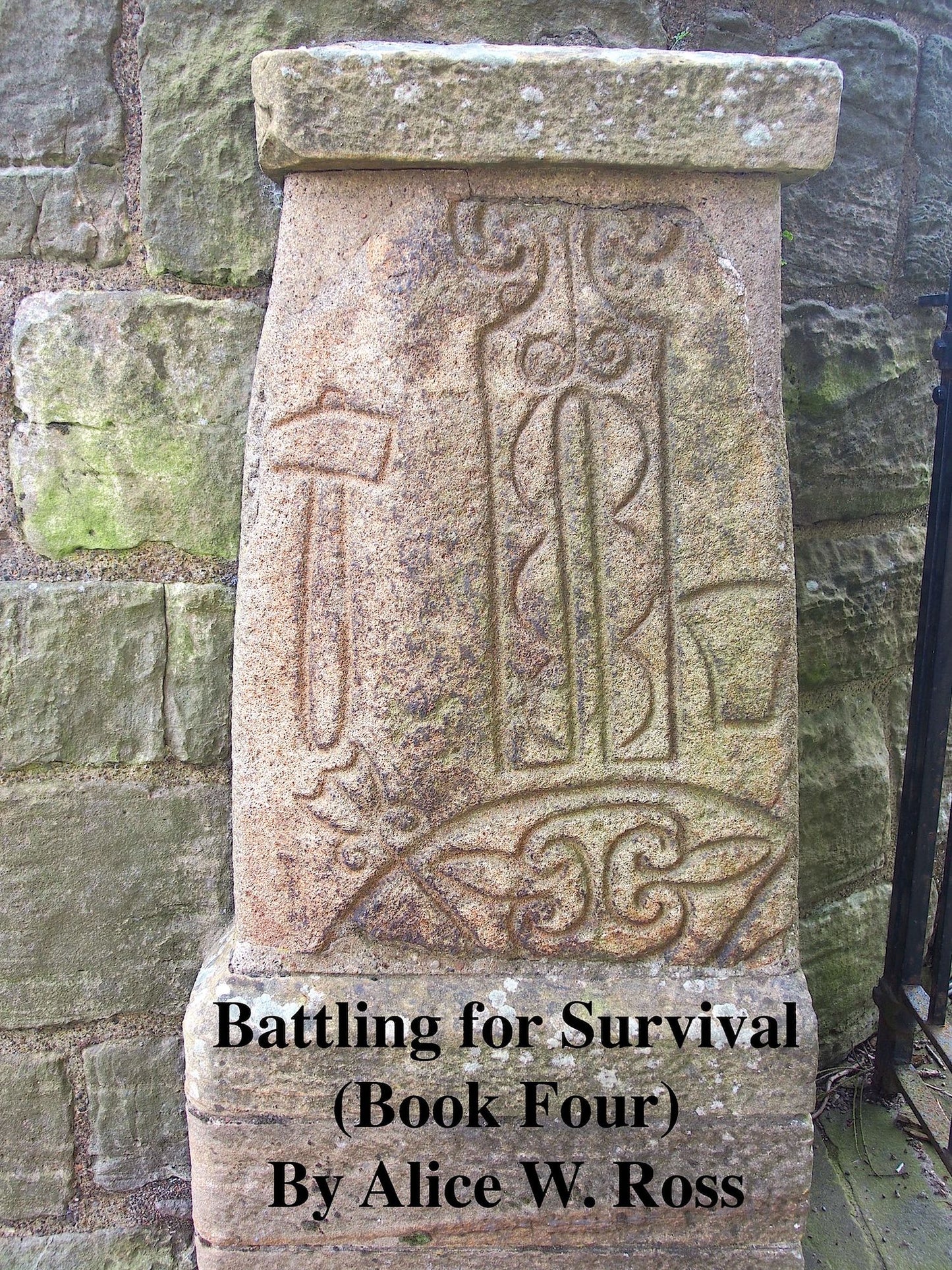 Battling for Survival