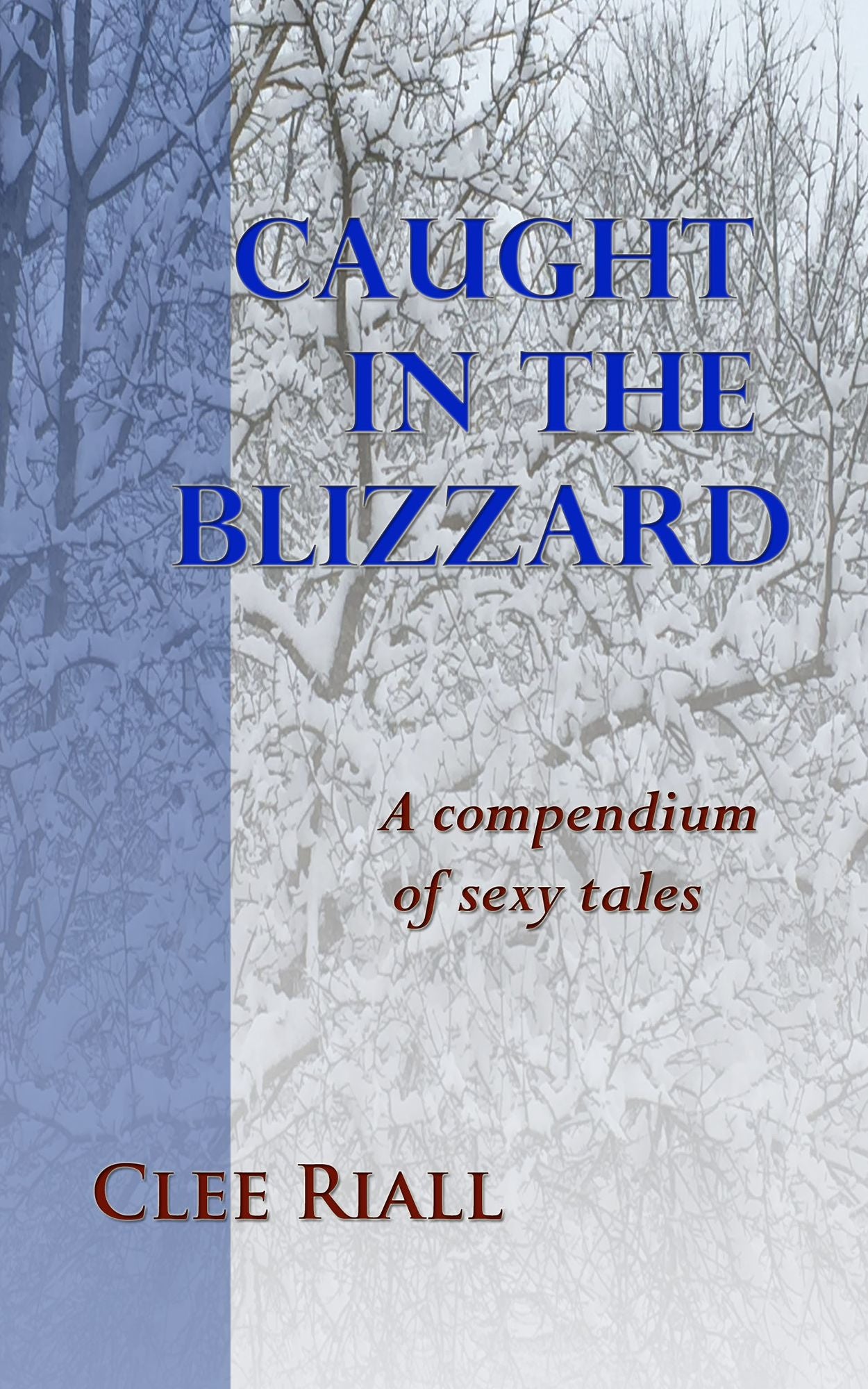 Caught In the Blizzard: A Compendium of Sexy Tales