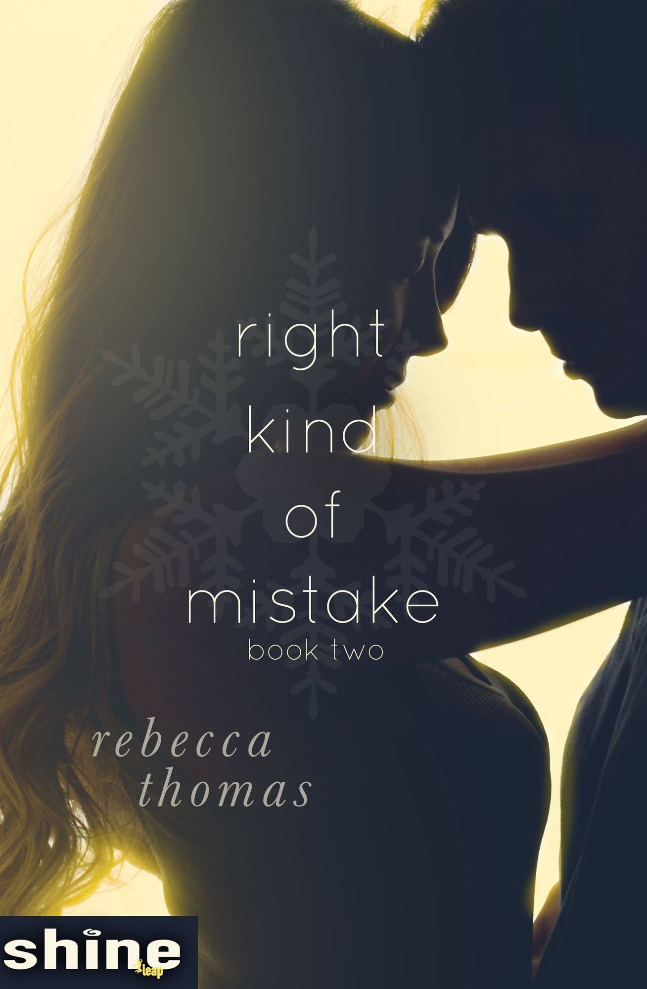 Right Kind of Mistake: Book Two
