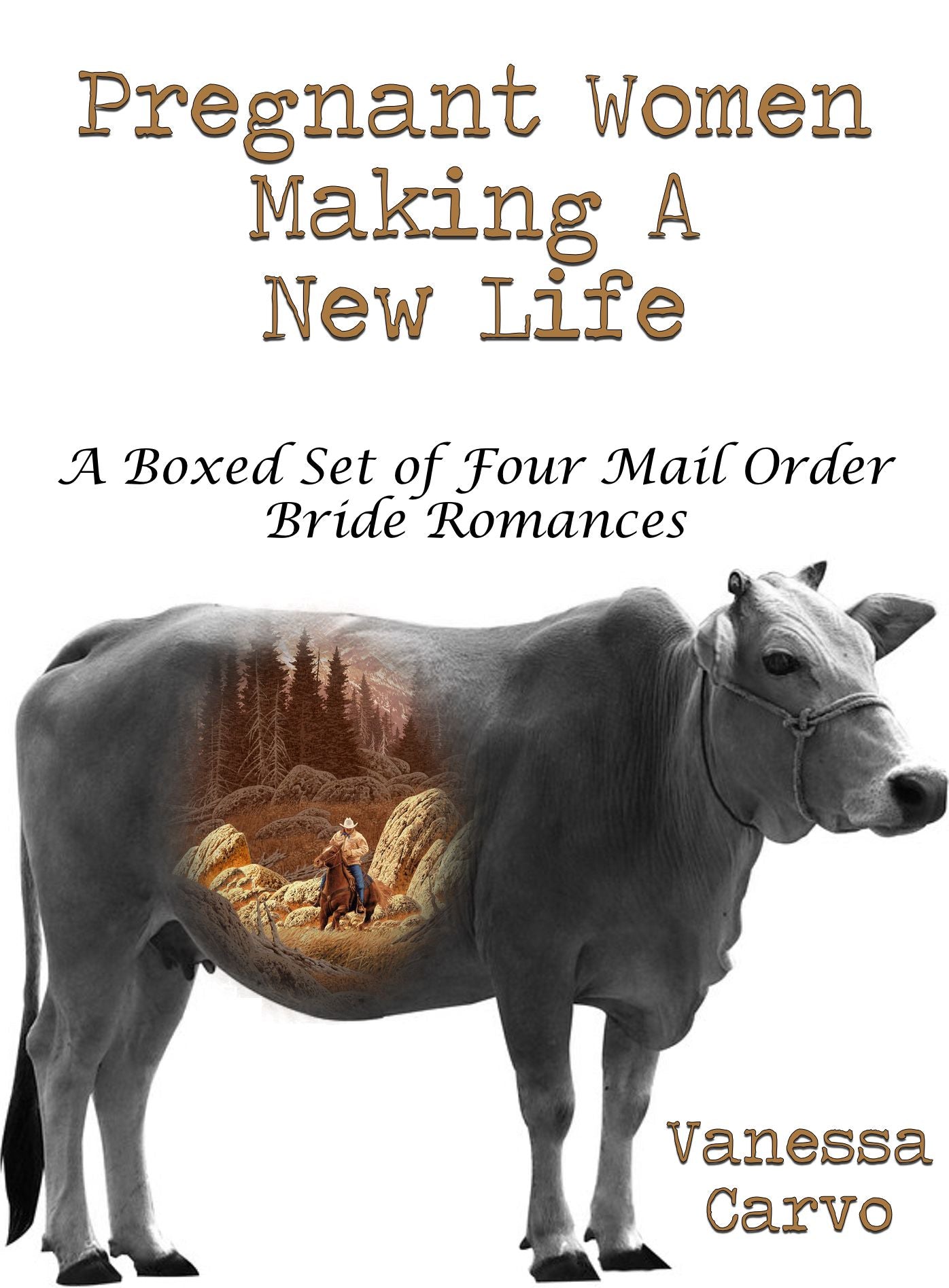 Pregnant Women Making A New Life: A Boxed Set of Four Mail Order Bride Romances