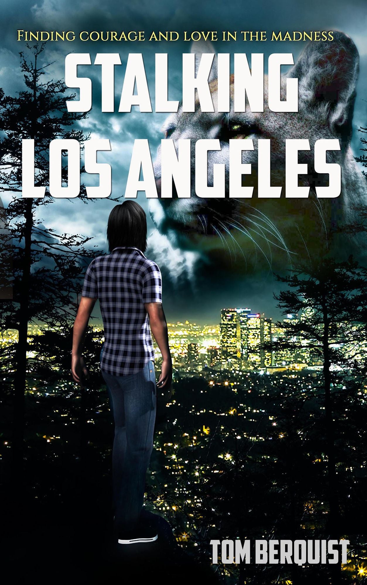 Stalking Los Angeles