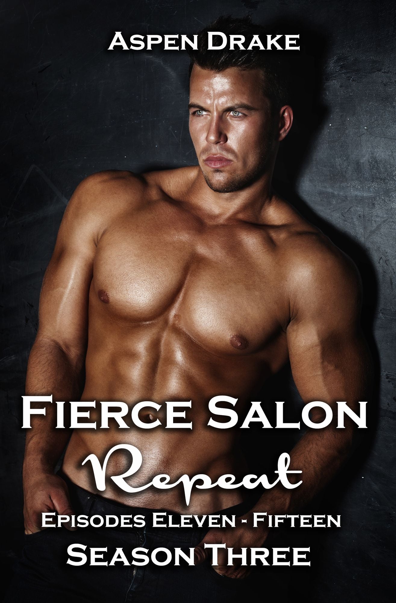 Fierce Salon Season Three Repeat