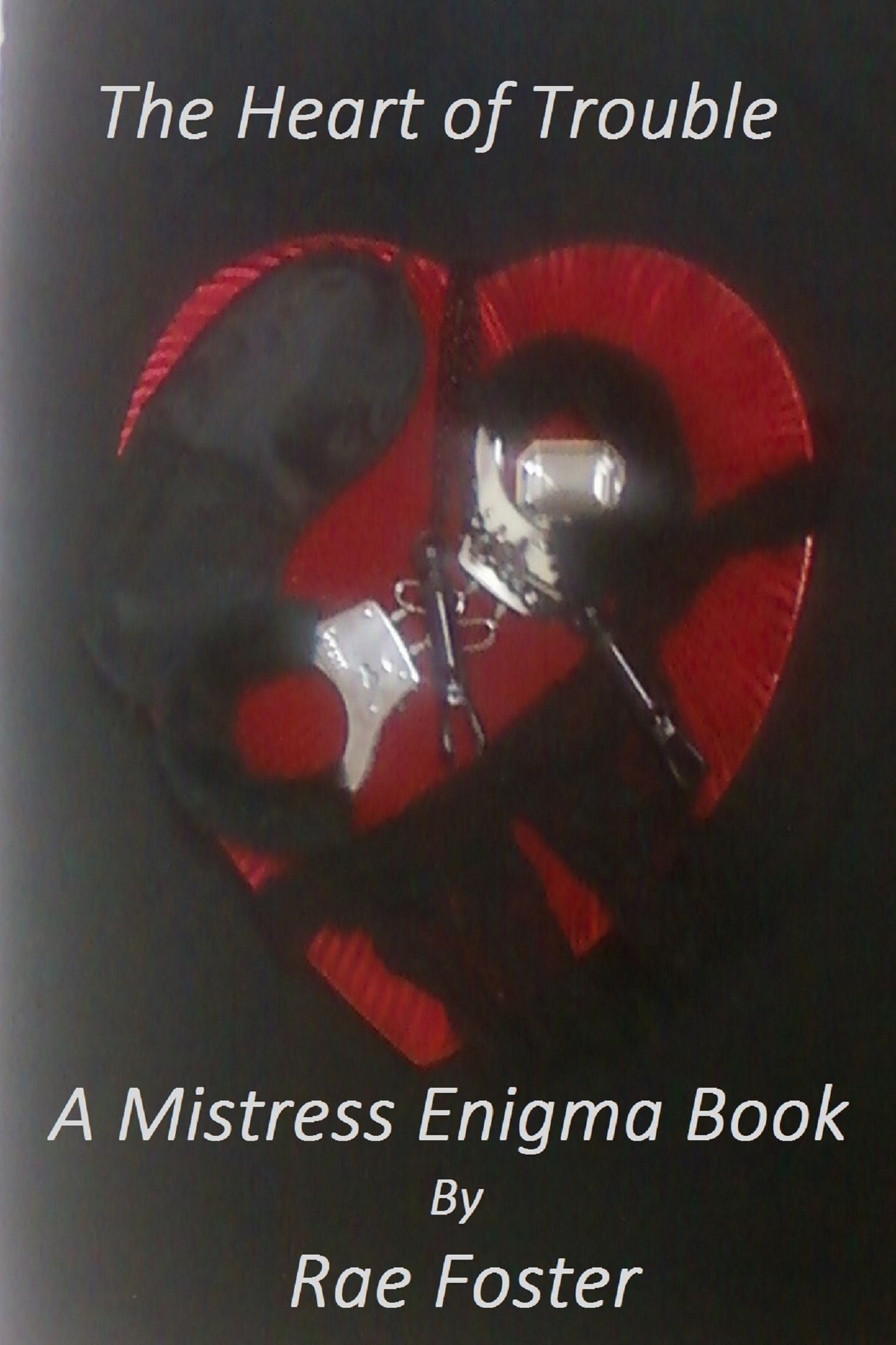 The Heart of Trouble: A Mistress Enigma Book