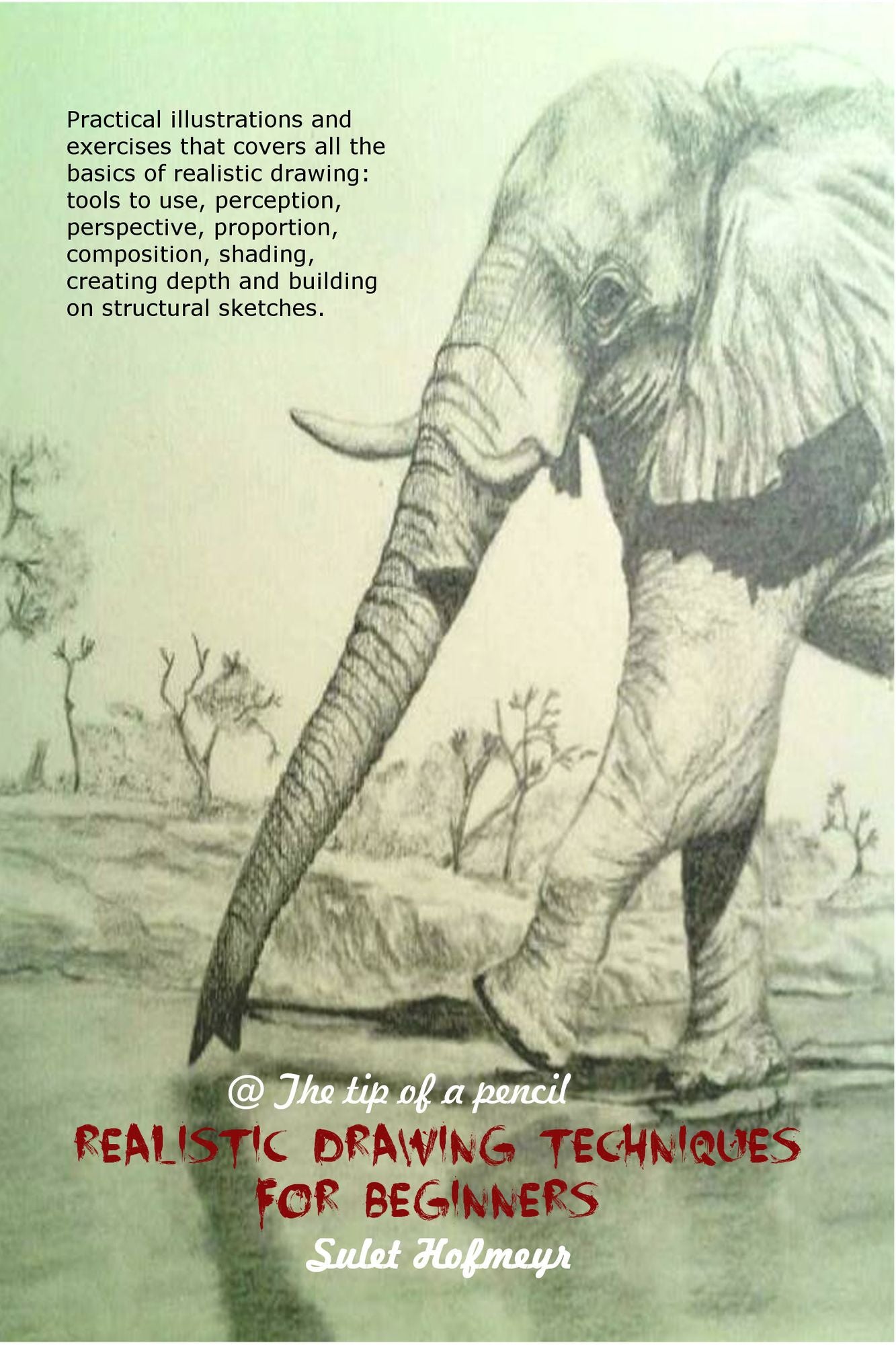 Realistic Drawing Techniques For Beginners