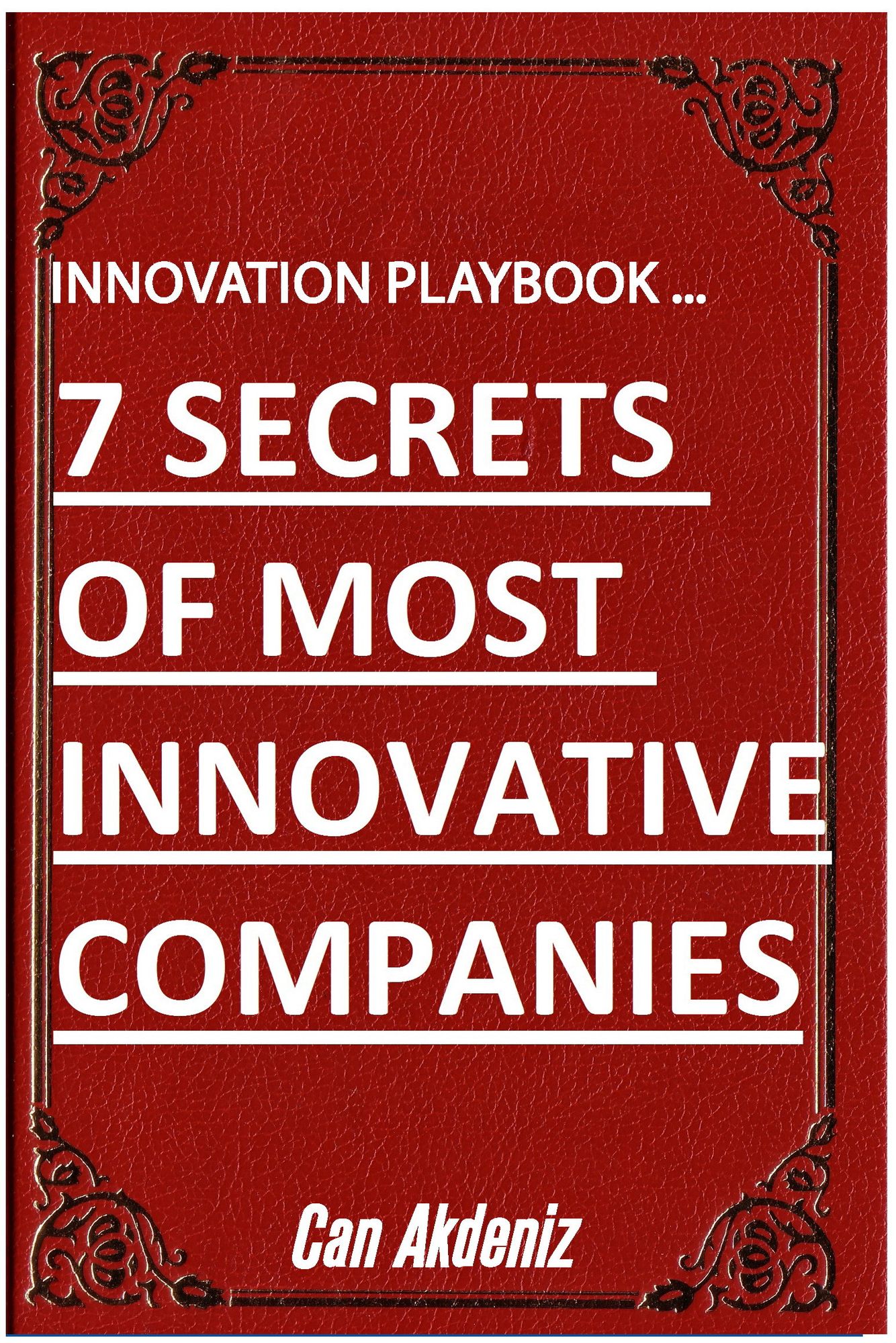 Innovation Playbook ...7 Secrets of Most Innovative Companies