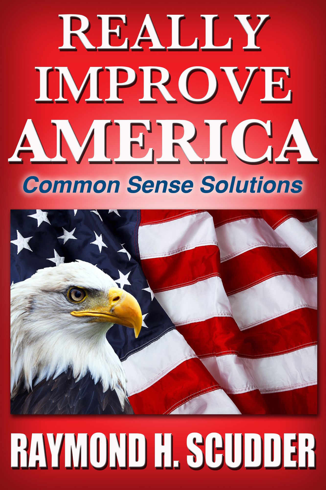 Really Improve America: Common Sense Solutions