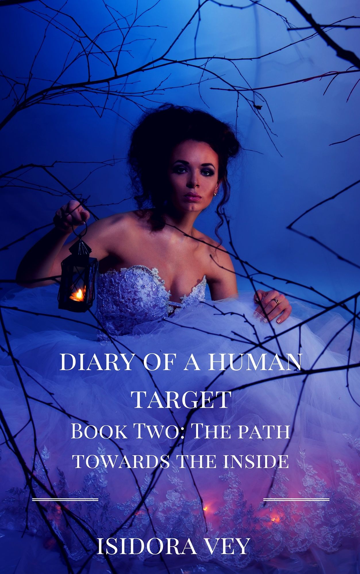 Diary of a Human Target (Book Two) - The Path Towards the Inside