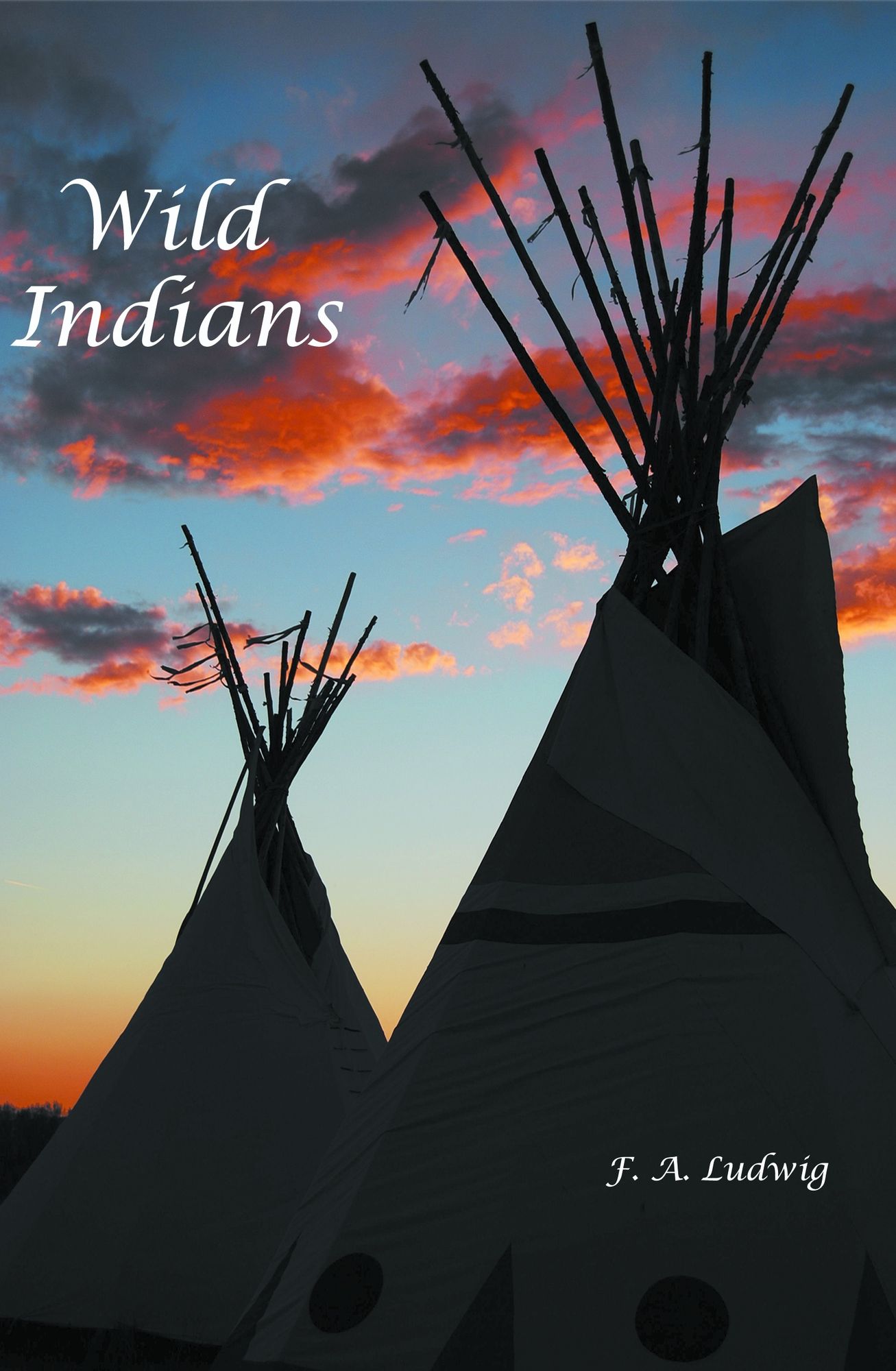 Wild Indians