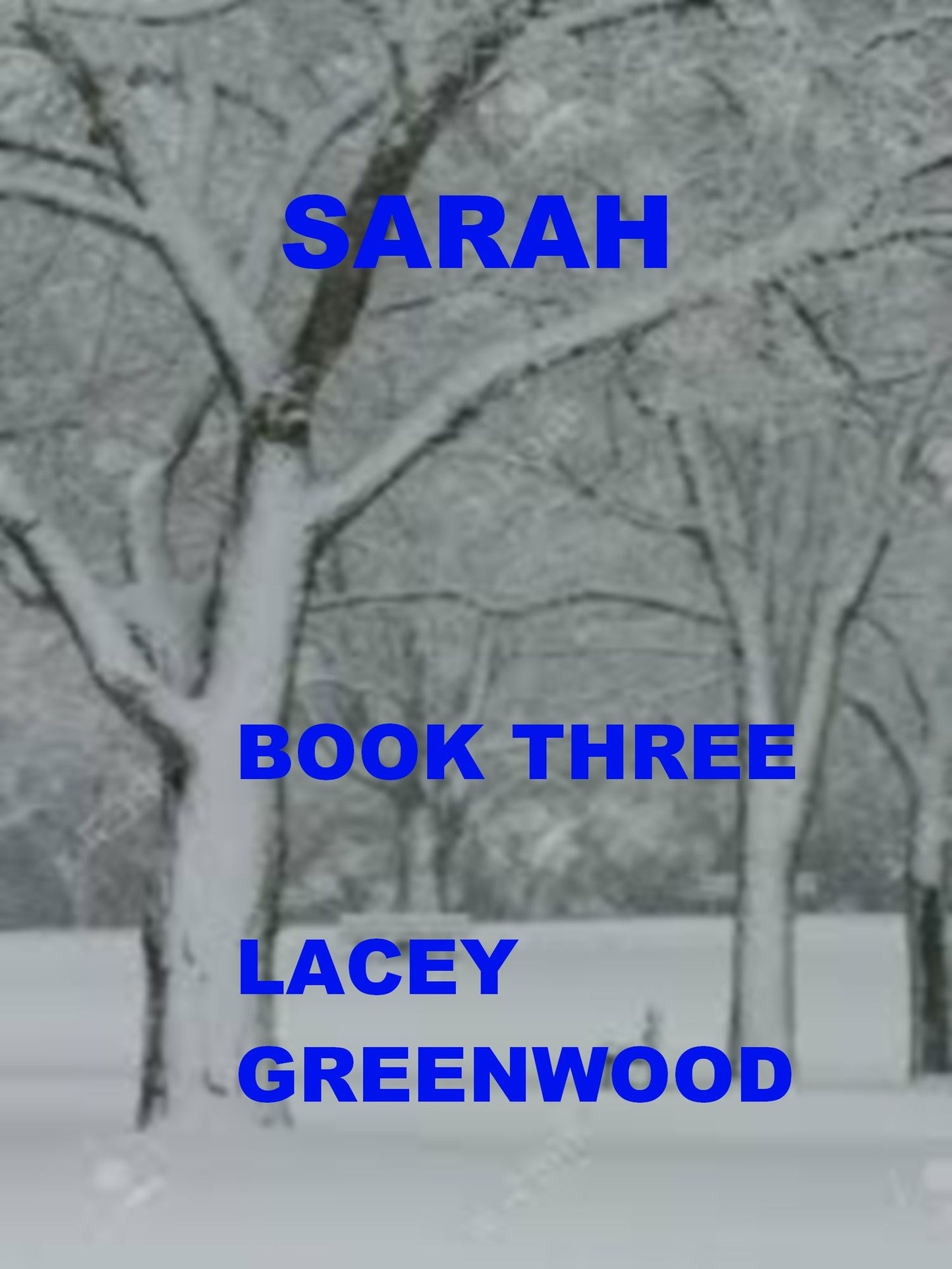 Sarah: Book Three