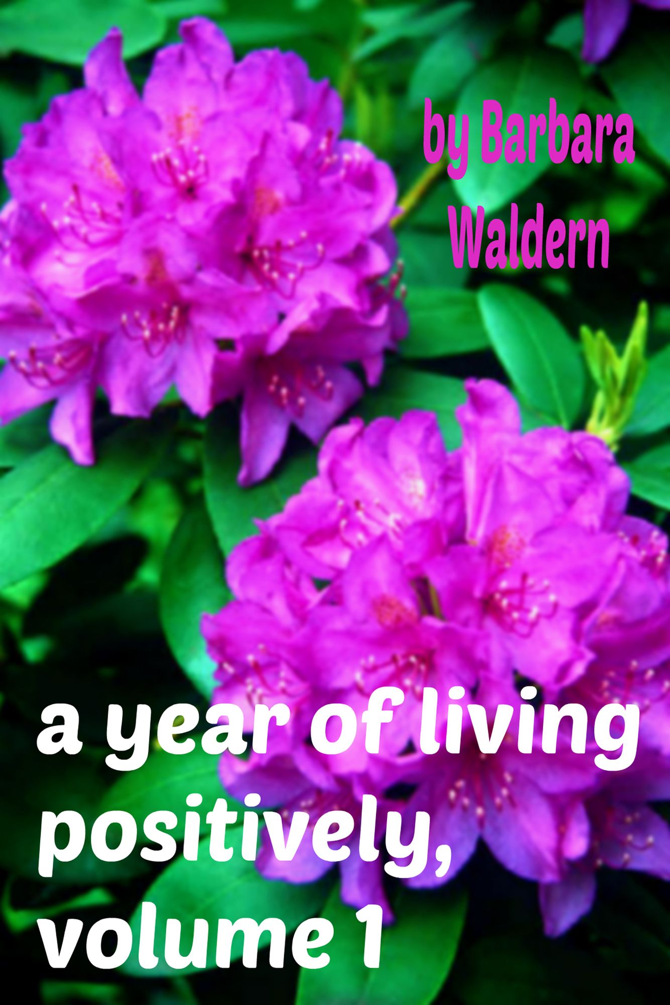 A Year of Living Positively, Volume 1