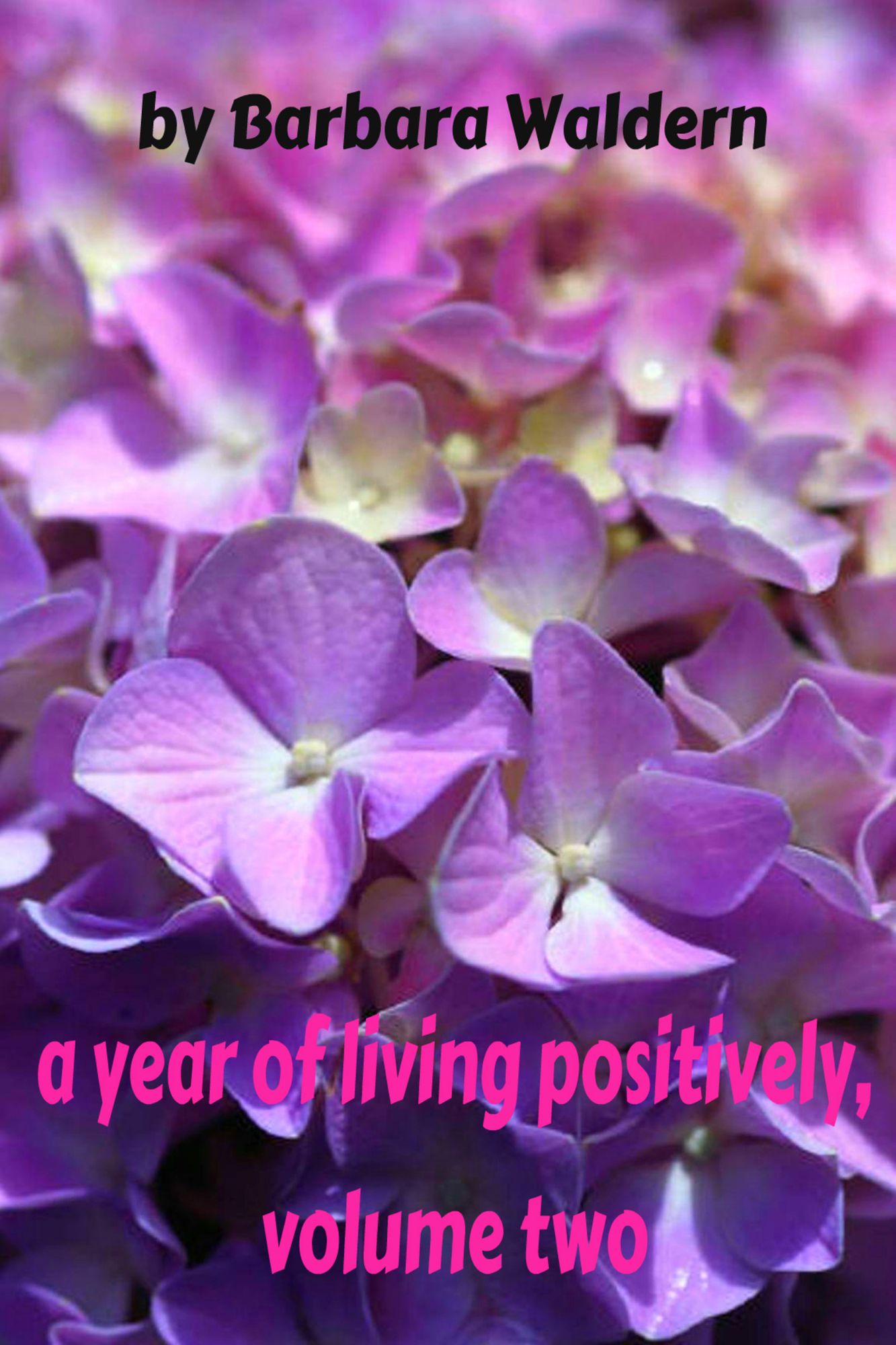 A Year of Living Positively-Volume 2