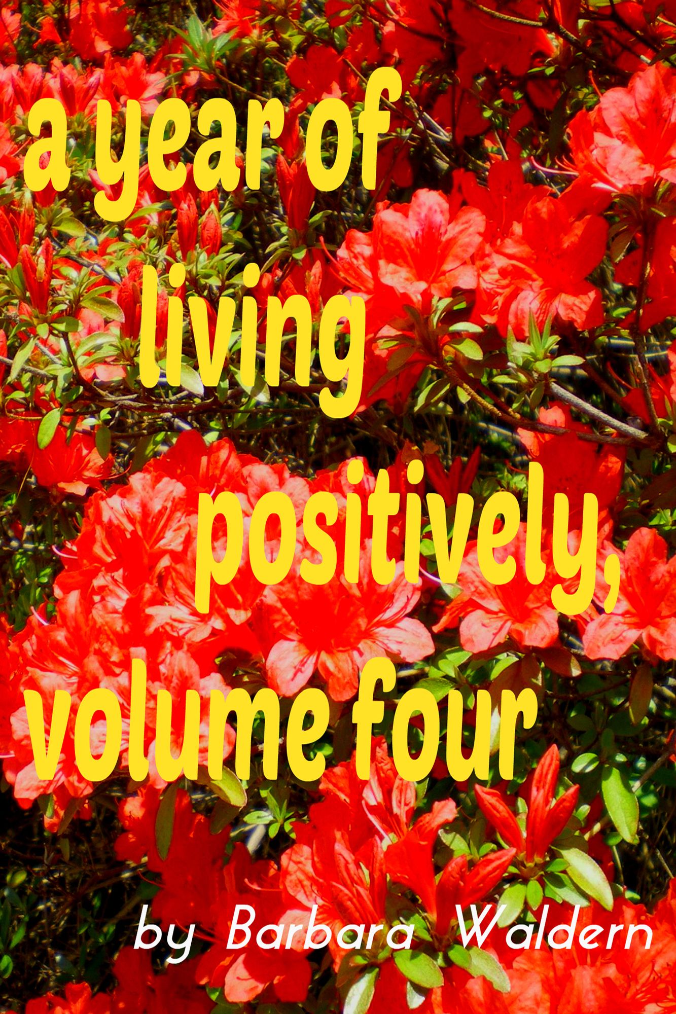 A Year of Living Positively-Volume 4