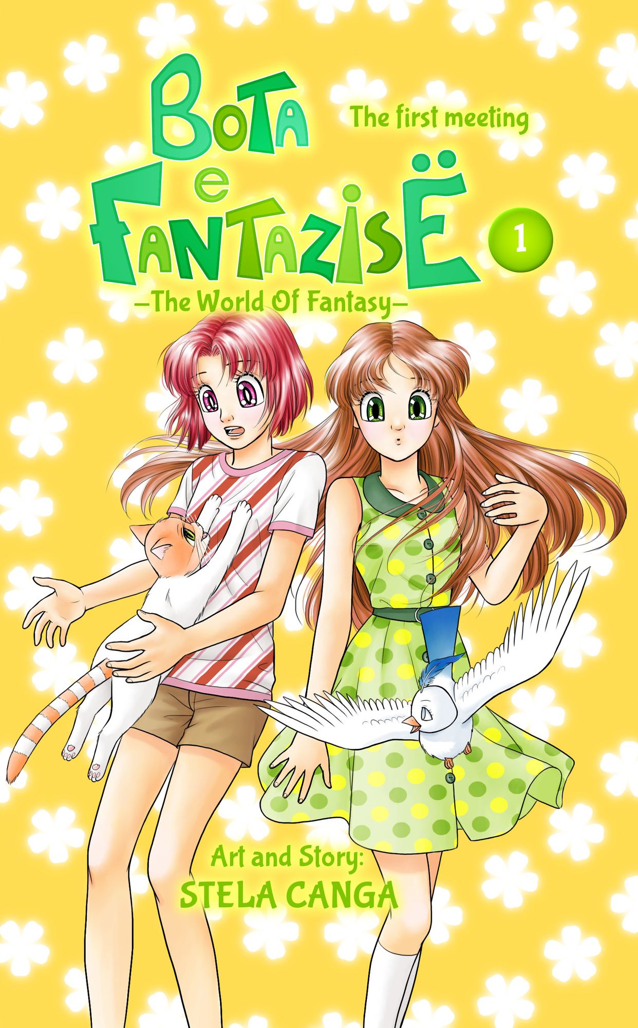 Bota E Fantazise (The World Of Fantasy): Chapter 01 - The First Meeting