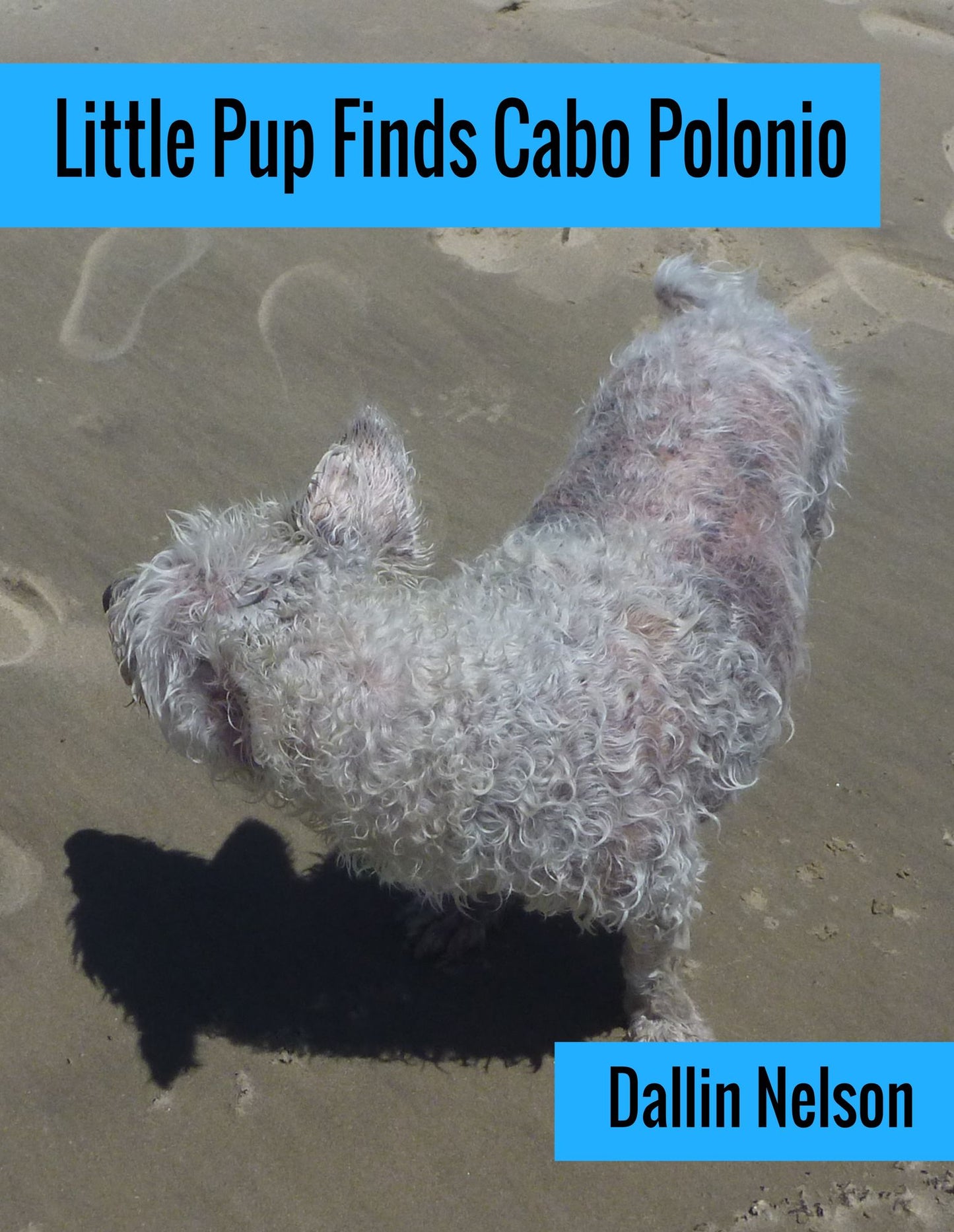 Little Pup Finds Cabo Polonio