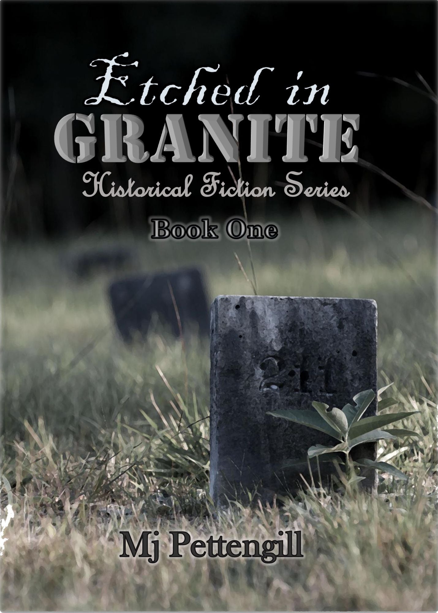Etched in Granite ~ Historical Fiction Series ~ Book One