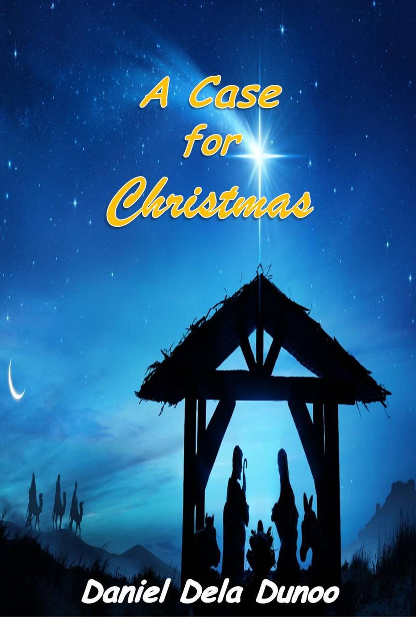 A Case for Christmas