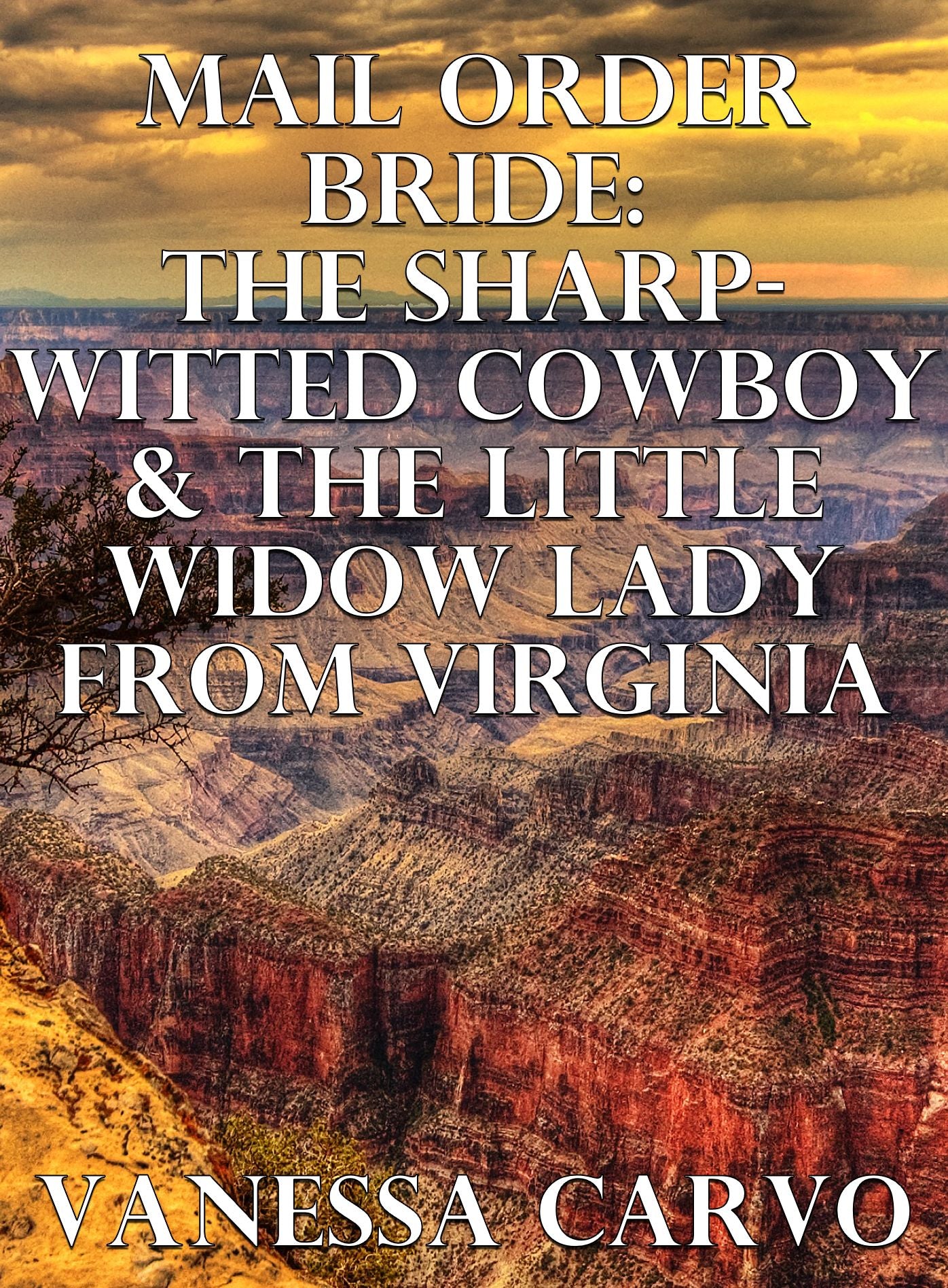 Mail Order Bride: The Sharp-Witted Cowboy & The Little Widow Lady From Virginia