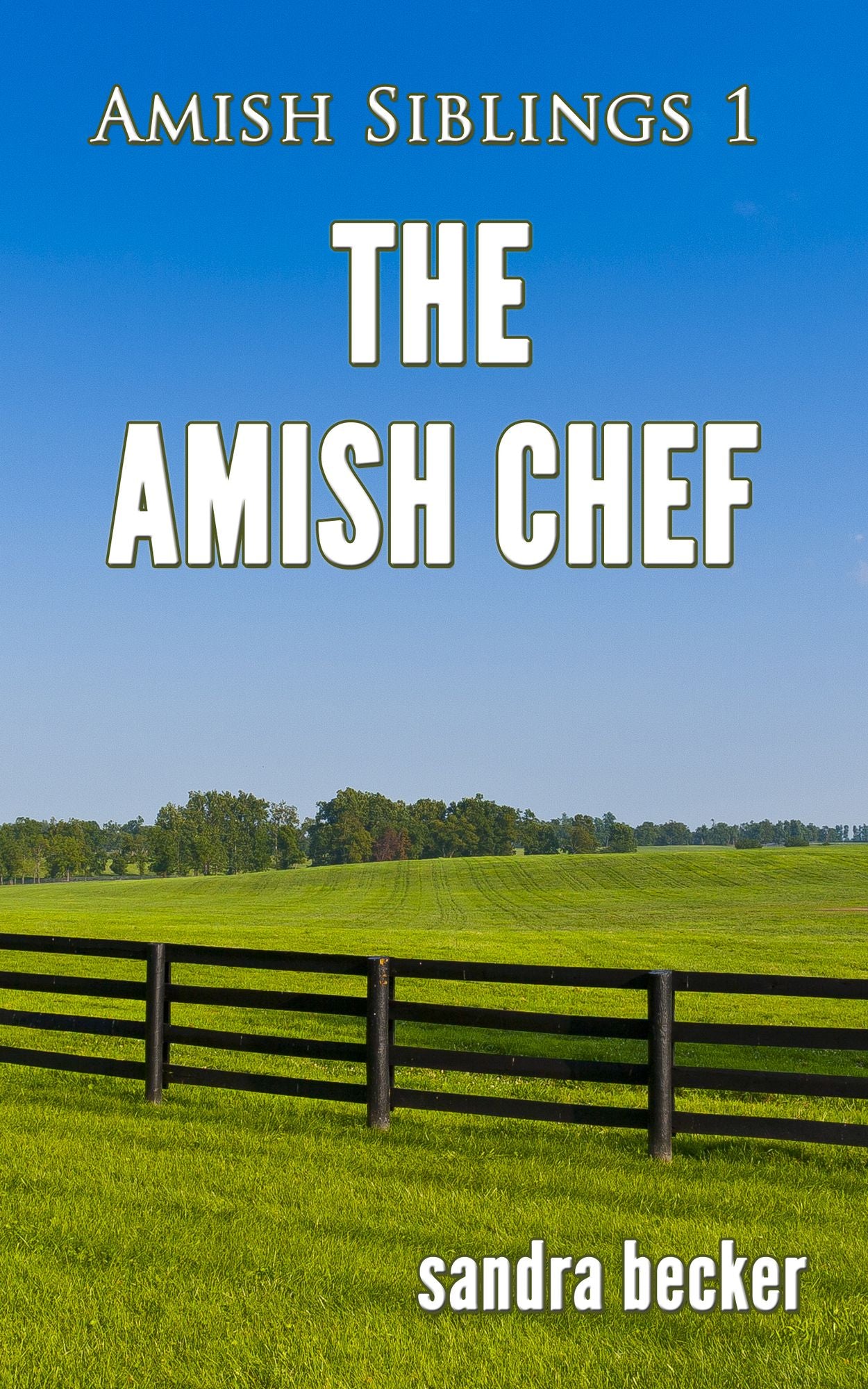 The Amish Chef