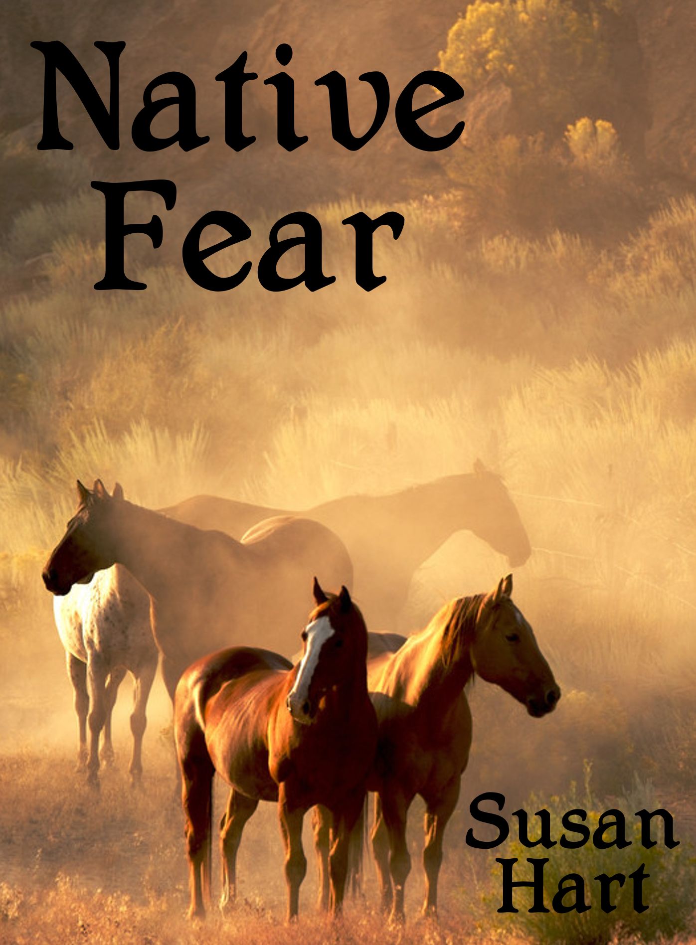 Mail Order Bride: Native Fear