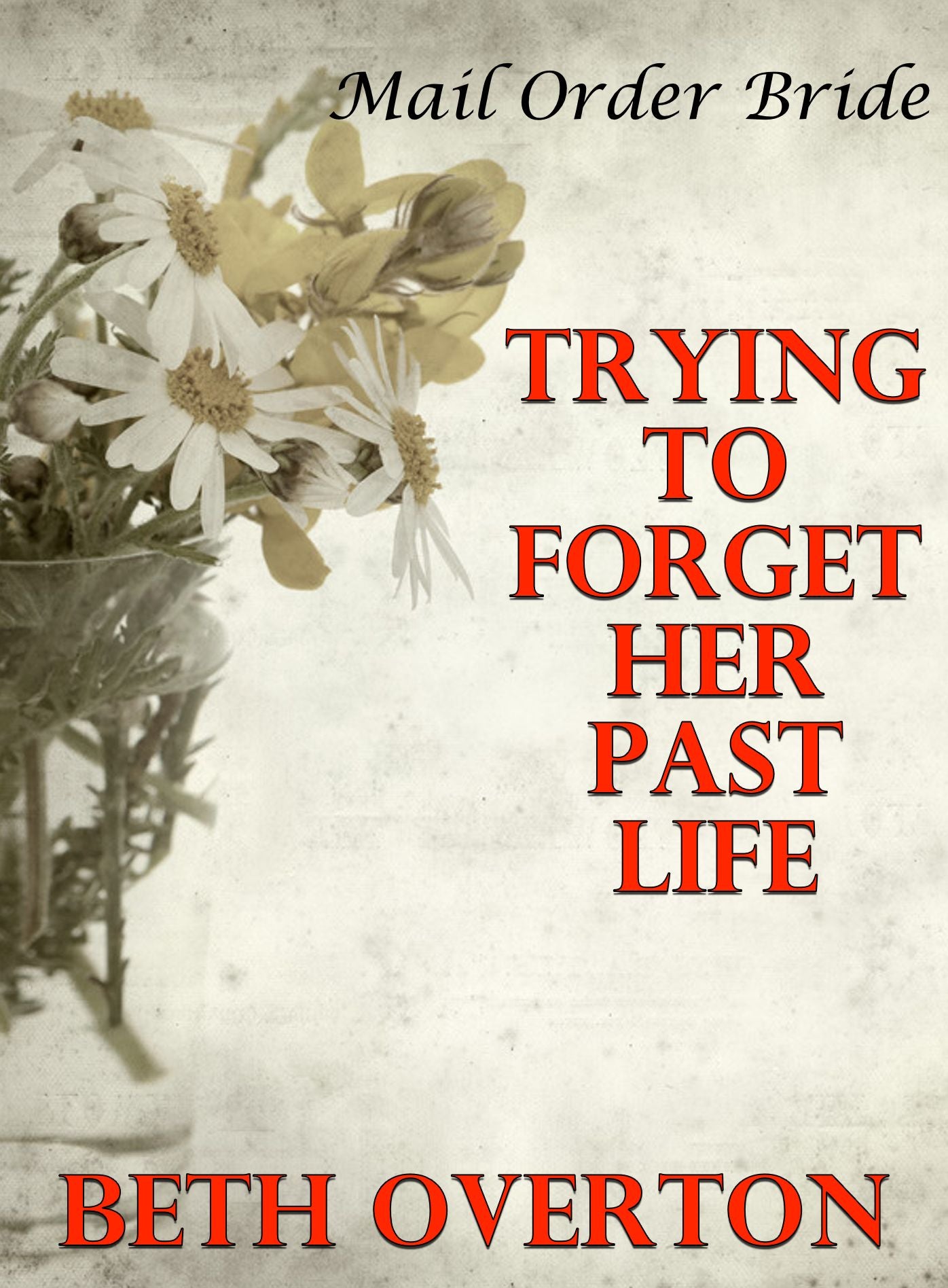 Mail Order Bride: Trying To Forget Her Past Life