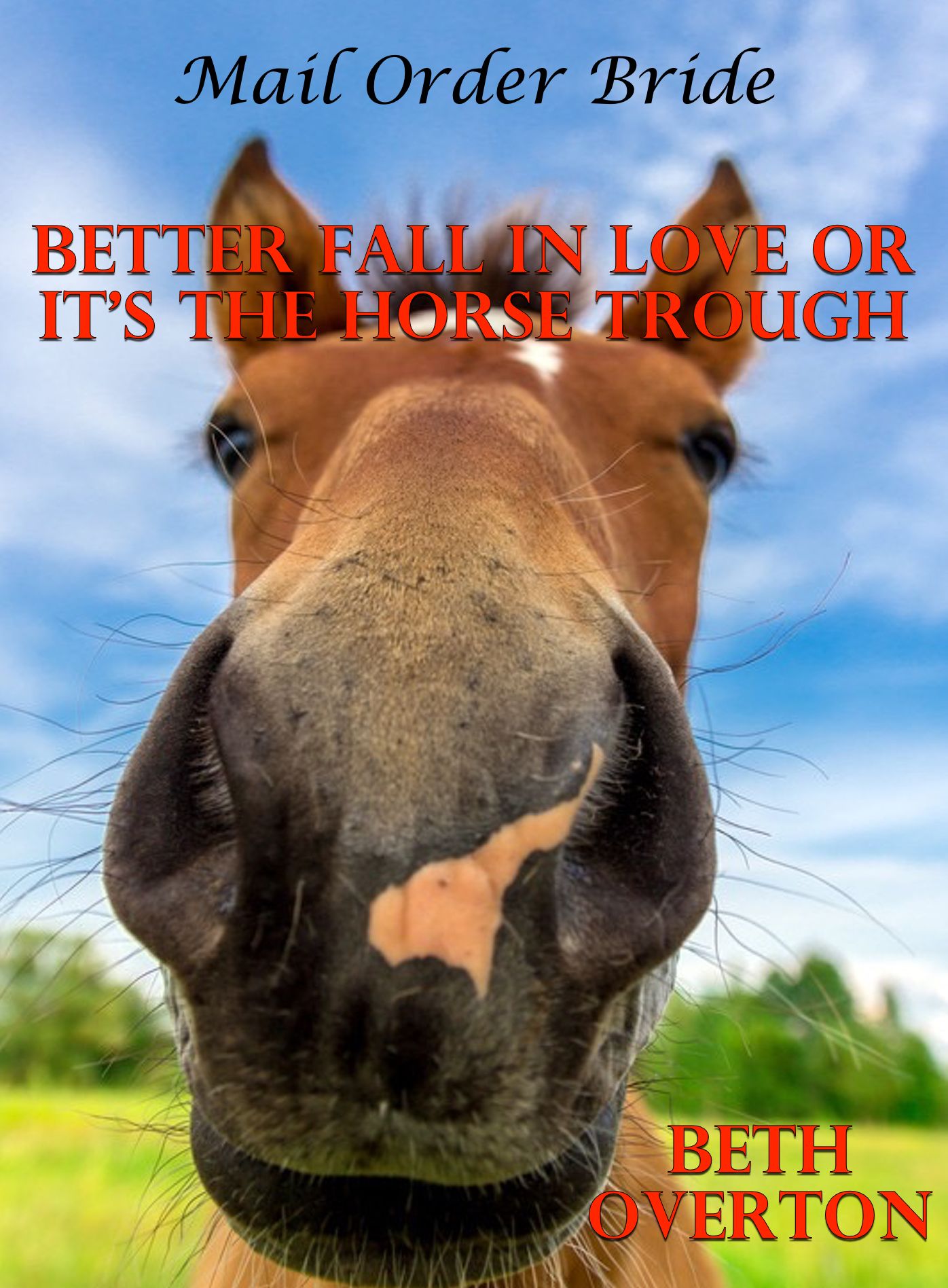 Mail Order Bride: Better Fall In Love Or It's The Horse Trough