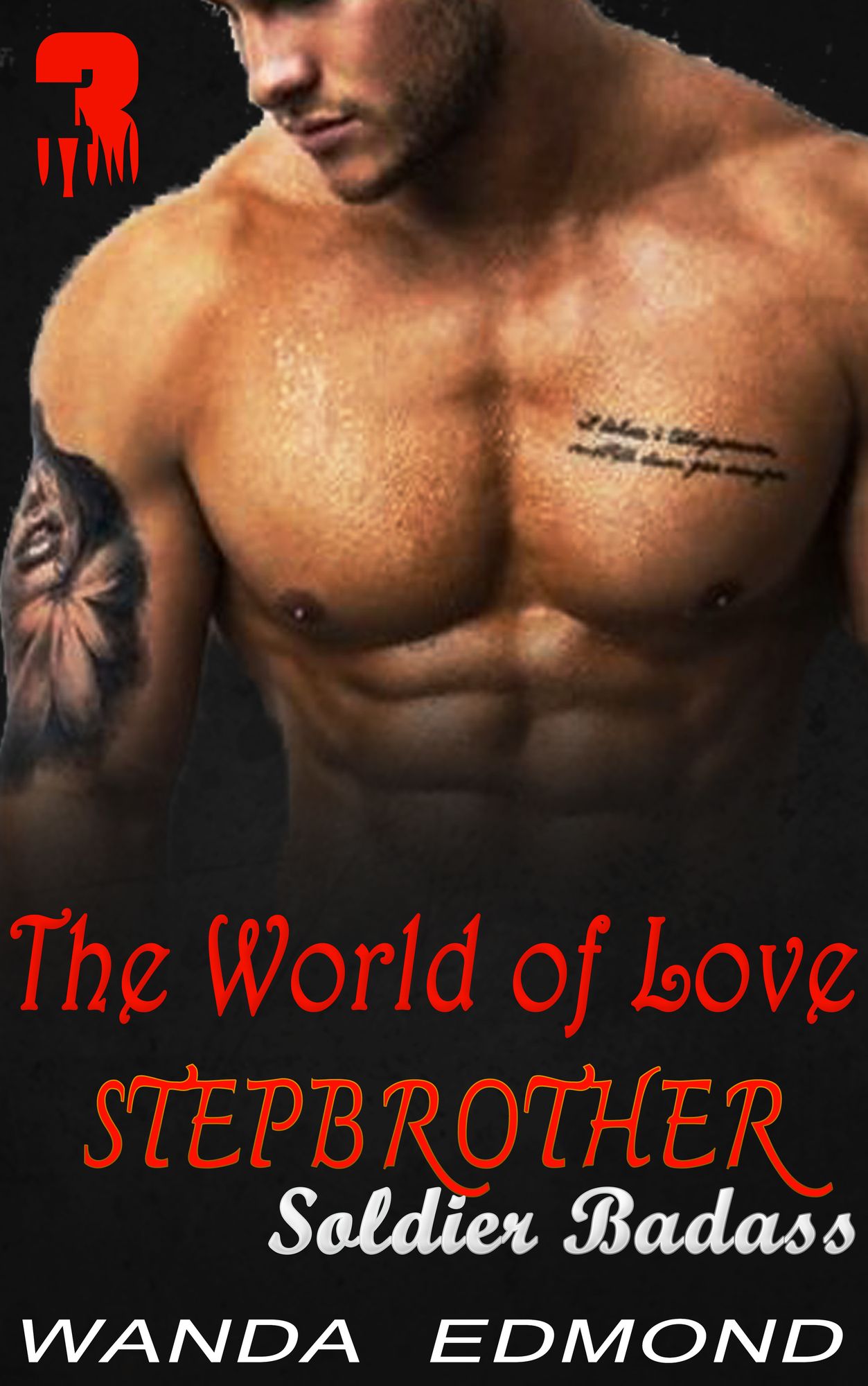 The World of Love : Stepbrother Soldier Badass (Book 3)