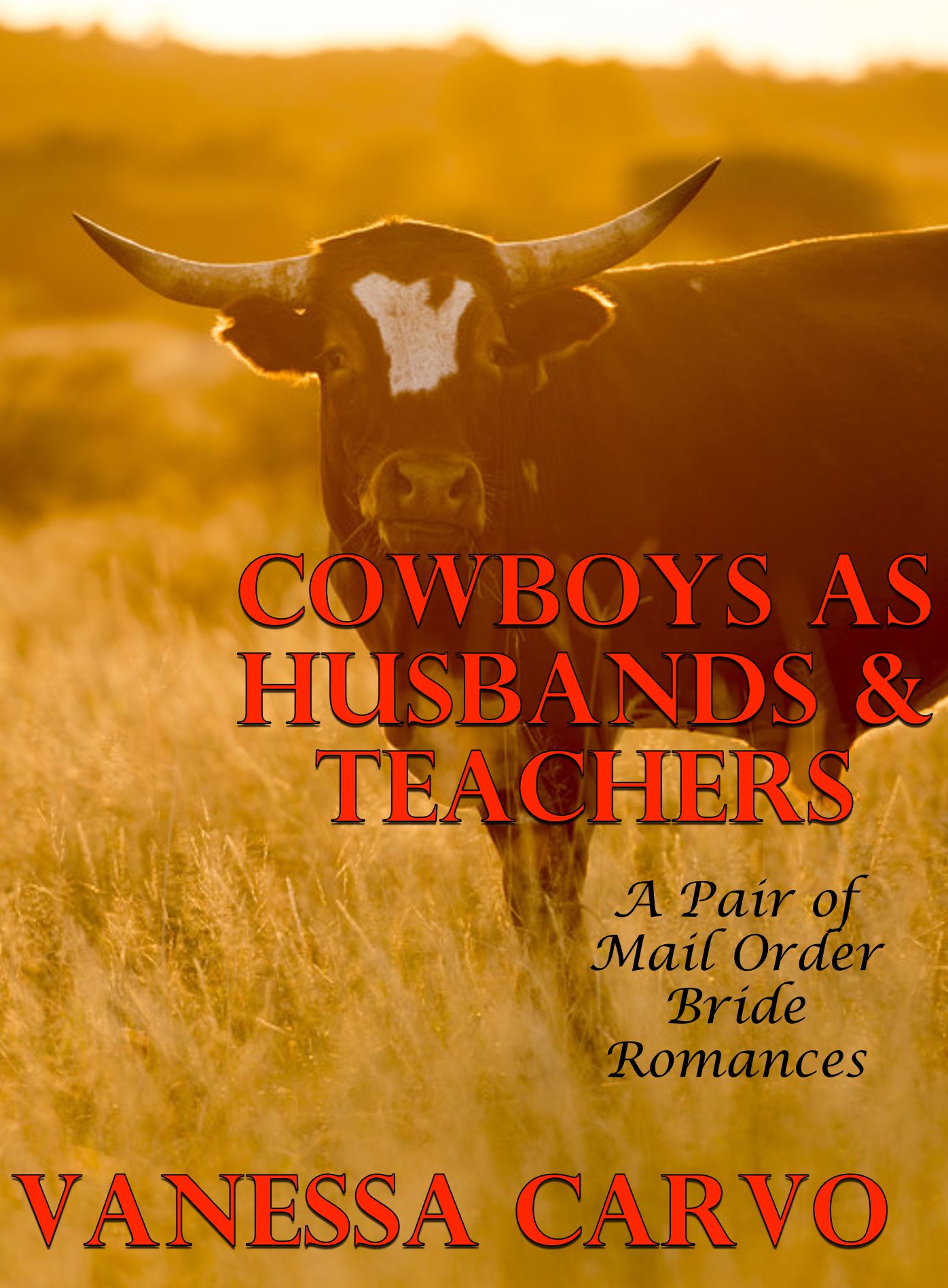 Cowboys As Husbands & Teachers: A Pair of Mail Order Bride Romances