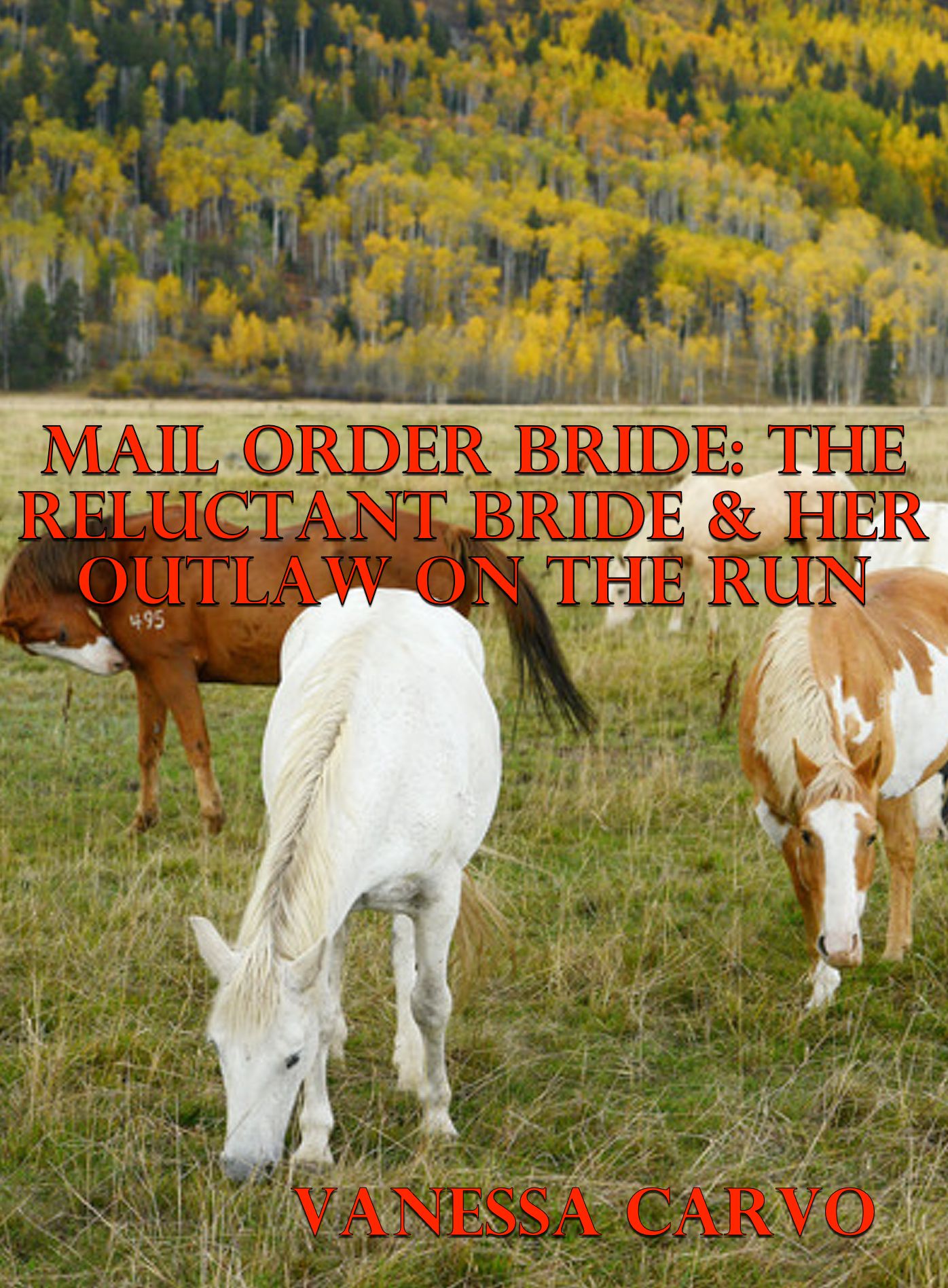 Mail Order Bride: The Reluctant Bride & Her Outlaw On The Run