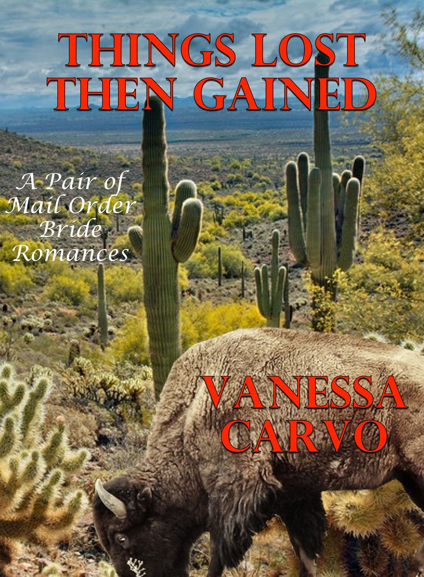 Things Lost Then Gained (A Pair of Mail Order Bride Romances)