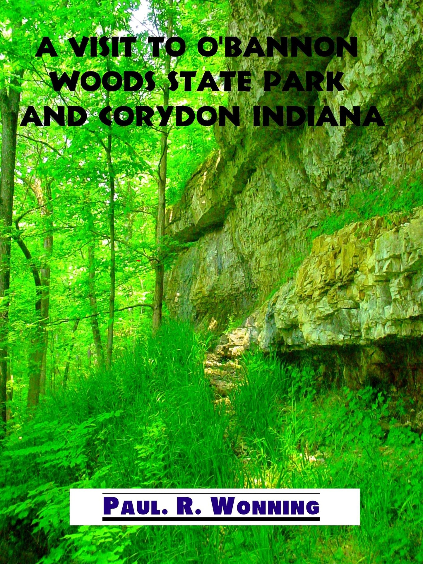 A Visit to O'Bannon Woods State Park and Corydon Indiana