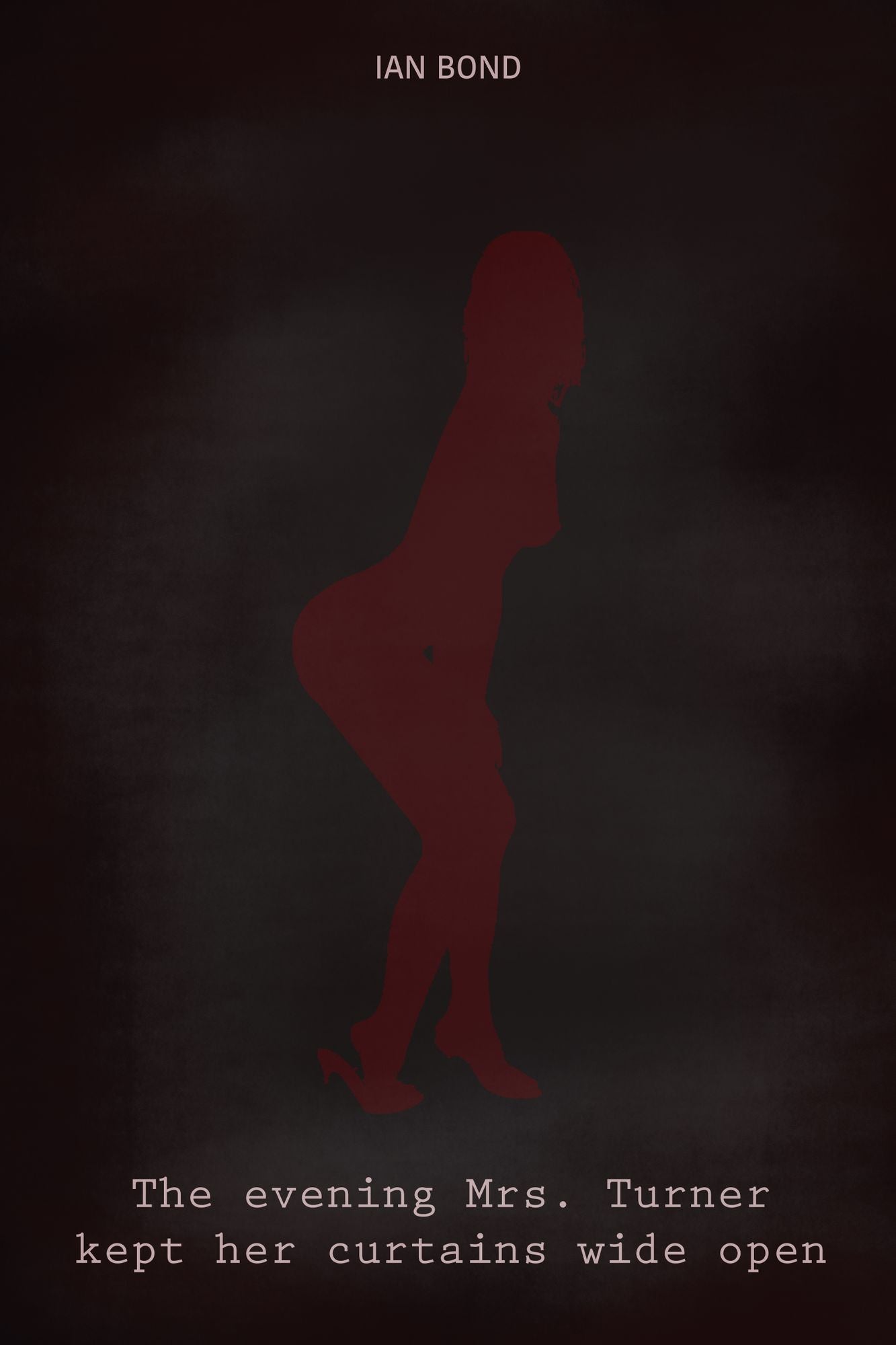 The Evening Mrs. Turner Kept Her Curtains Wide Open