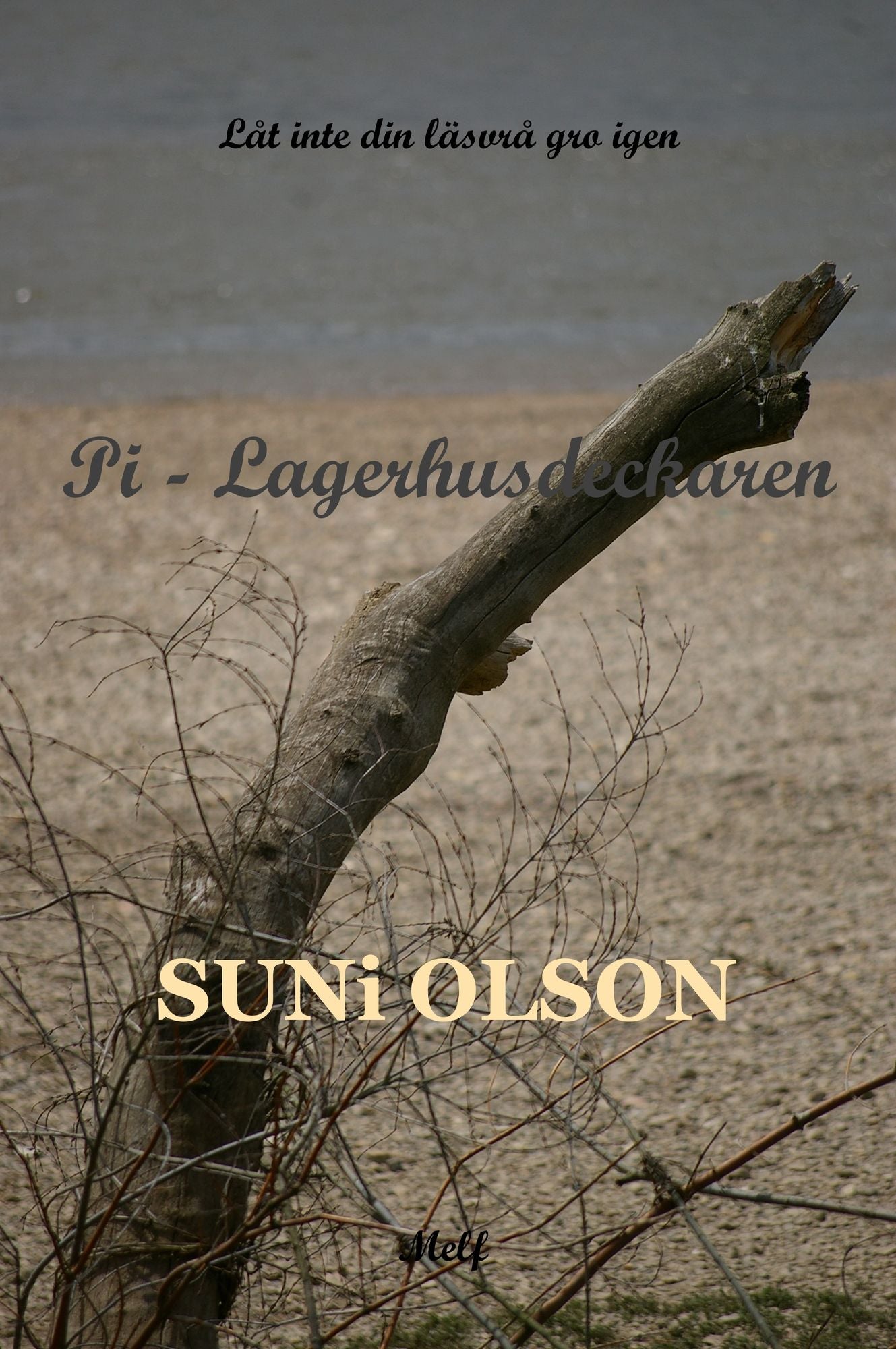 Pi: Lagerhusdeckaren