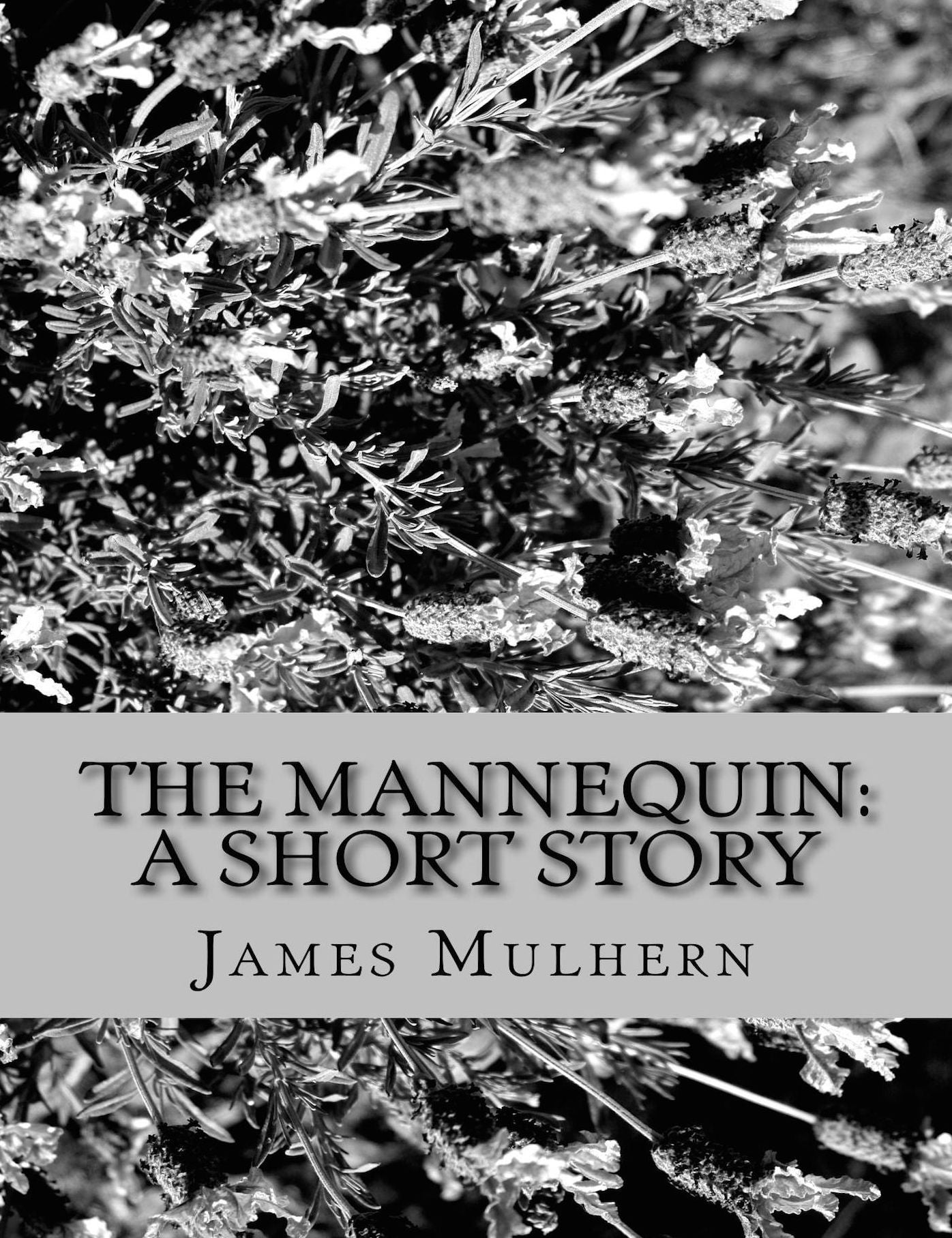 The Mannequin: A Short Story
