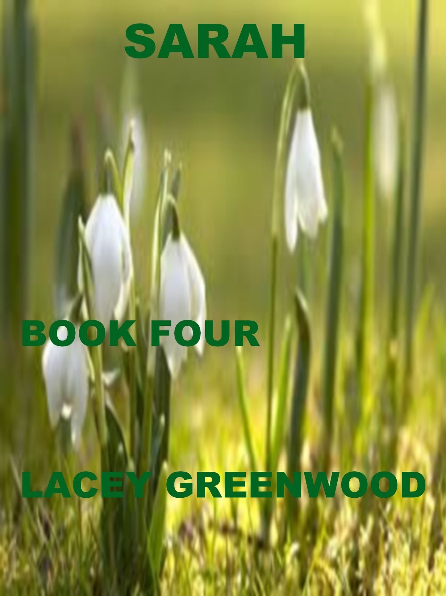 Sarah :Book Four