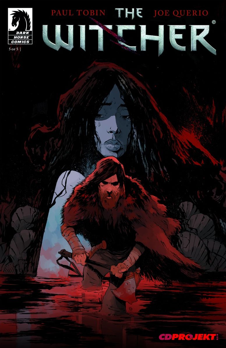 The Witcher #5