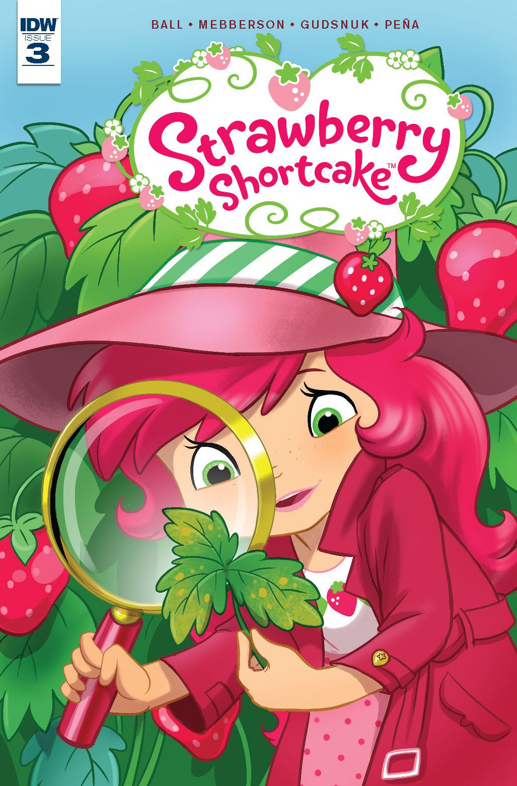 Strawberry Shortcake #3