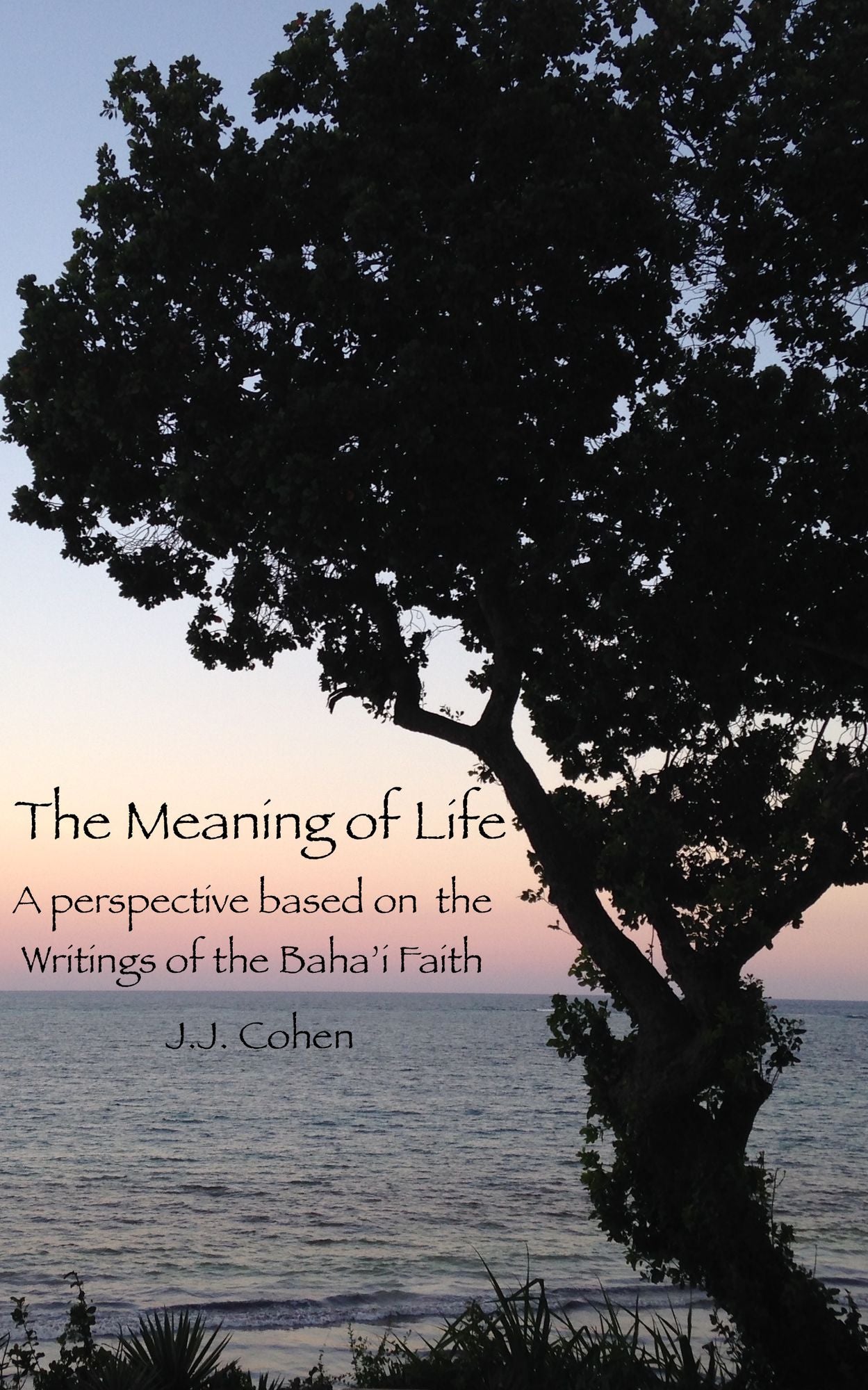 The Meaning of Life: A perspective based on the Writings of the Baha'i Faith