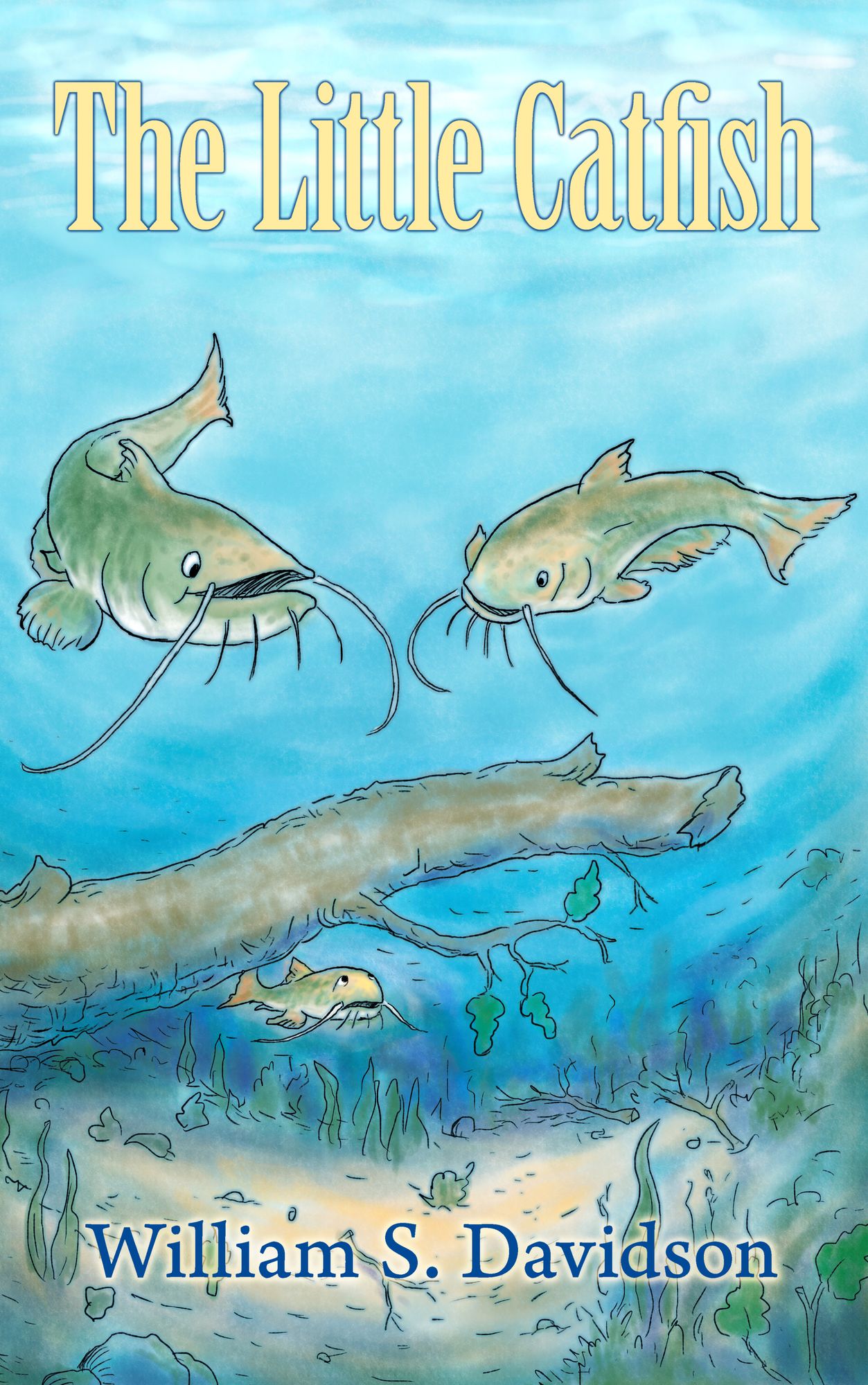 The Little Catfish