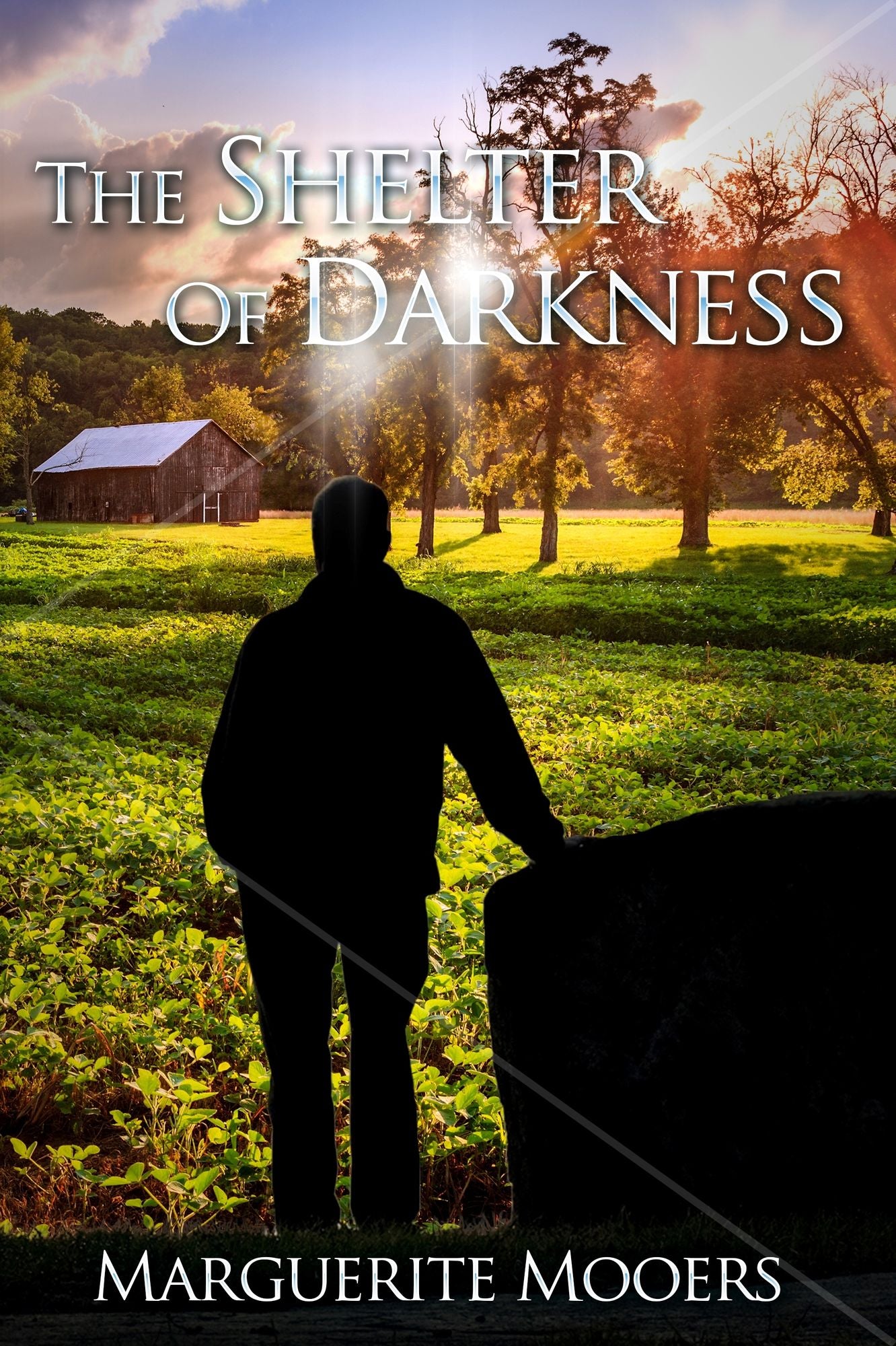 The Shelter of Darkness