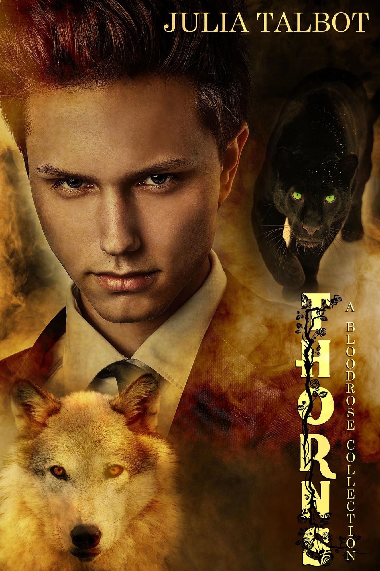Thorns: A Bloodrose Collection