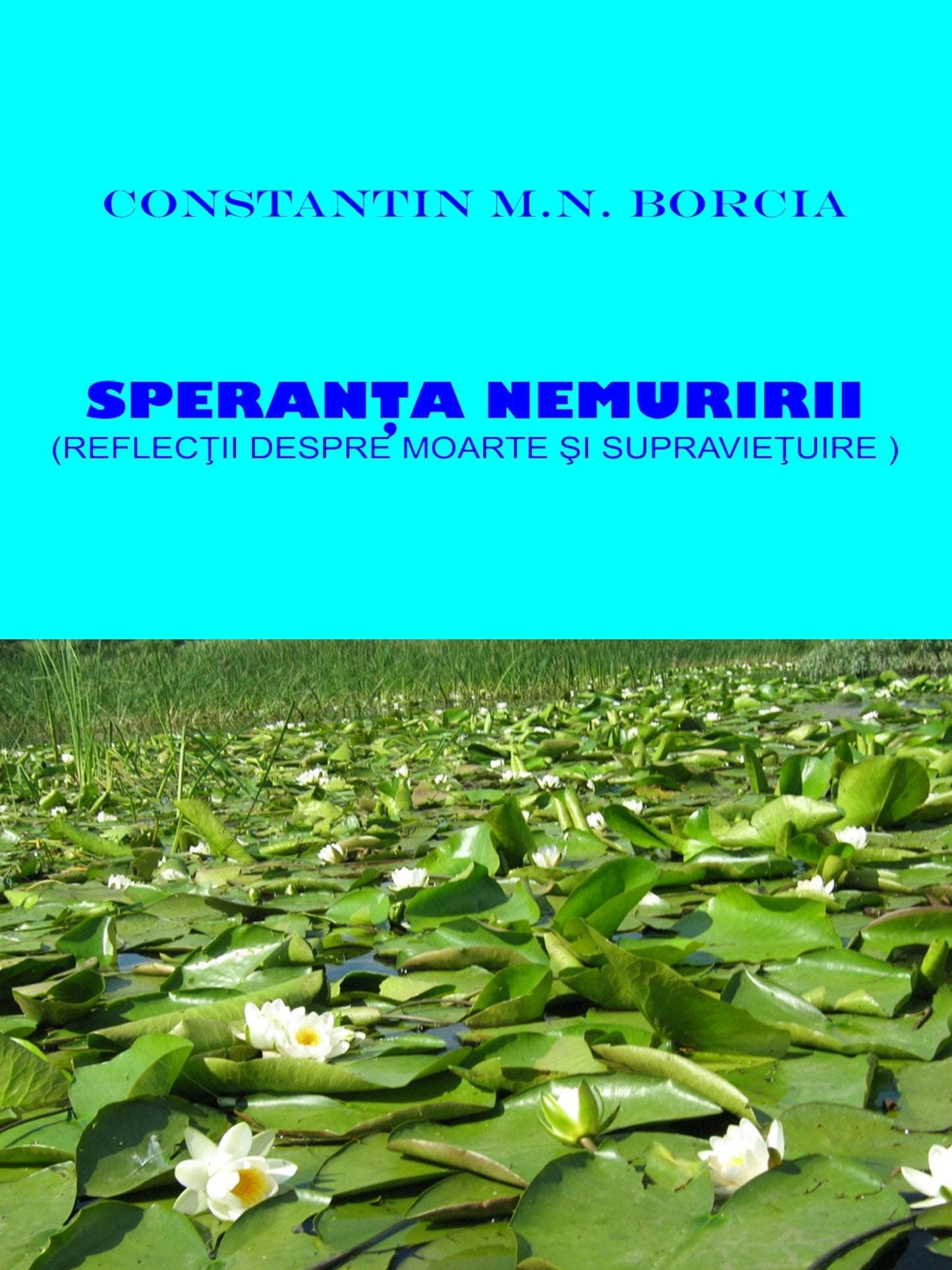 Speranta nemuririi: Reflectii despre moarte si supravietuire