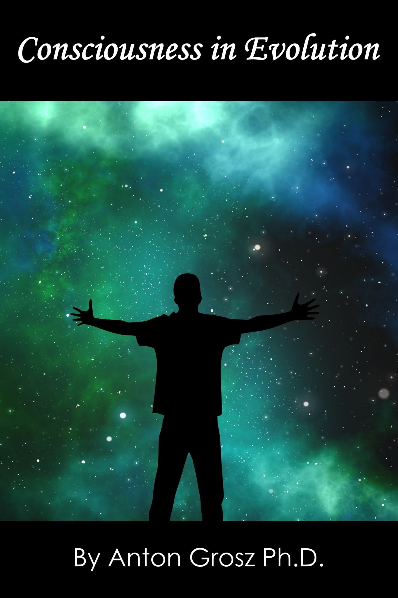 Consciousness in Evolution