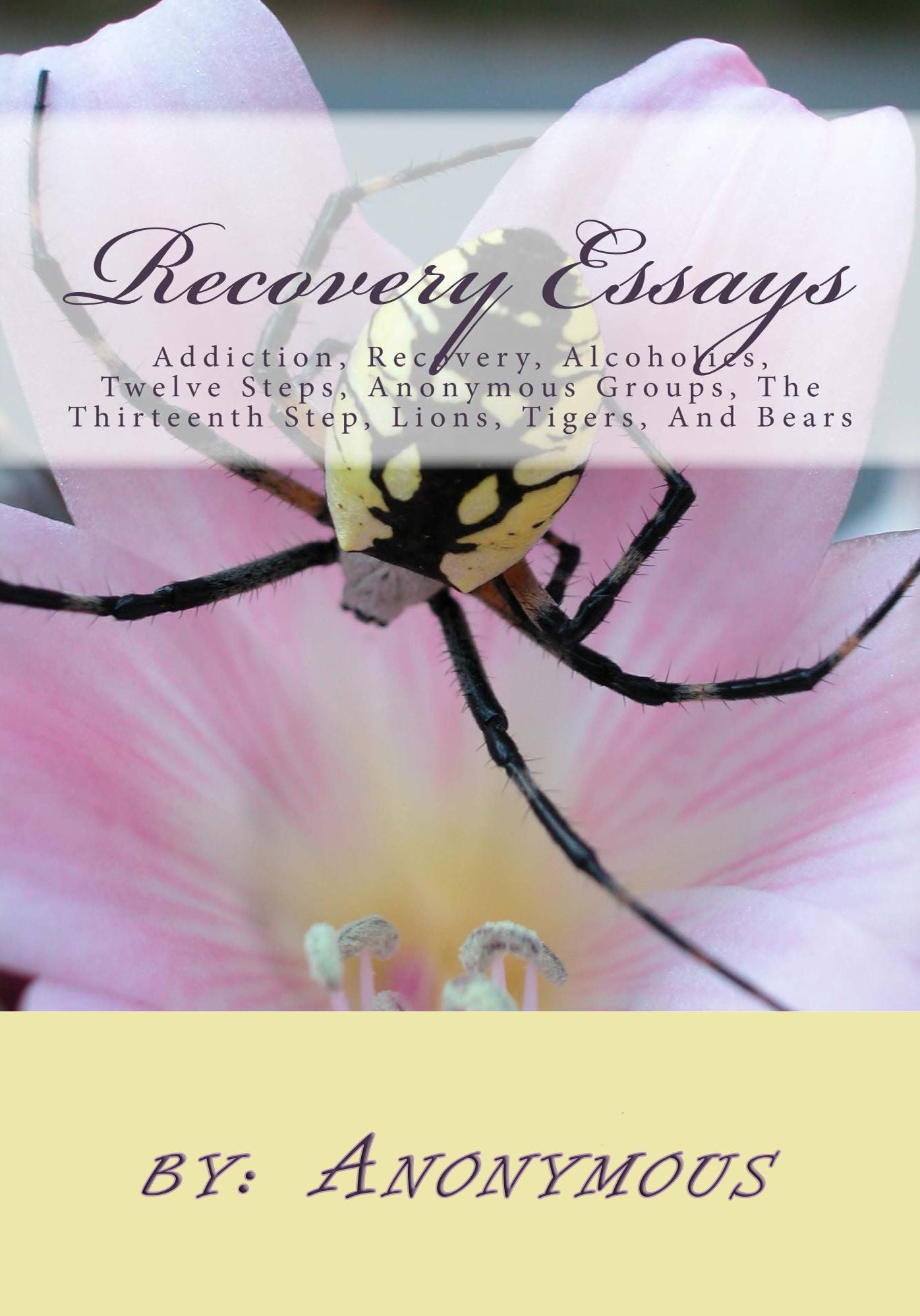 Recovery Essays
