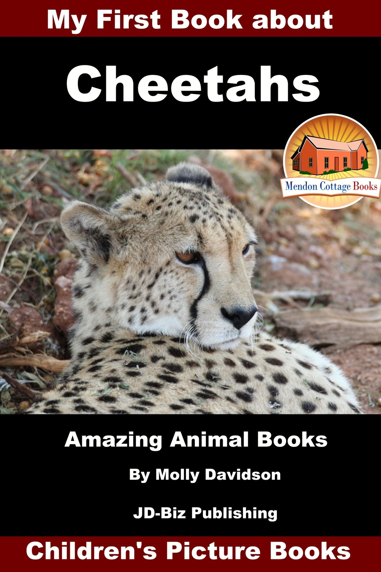 My First Book about Cheetahs: Amazing Animal Books - Children's Picture Books